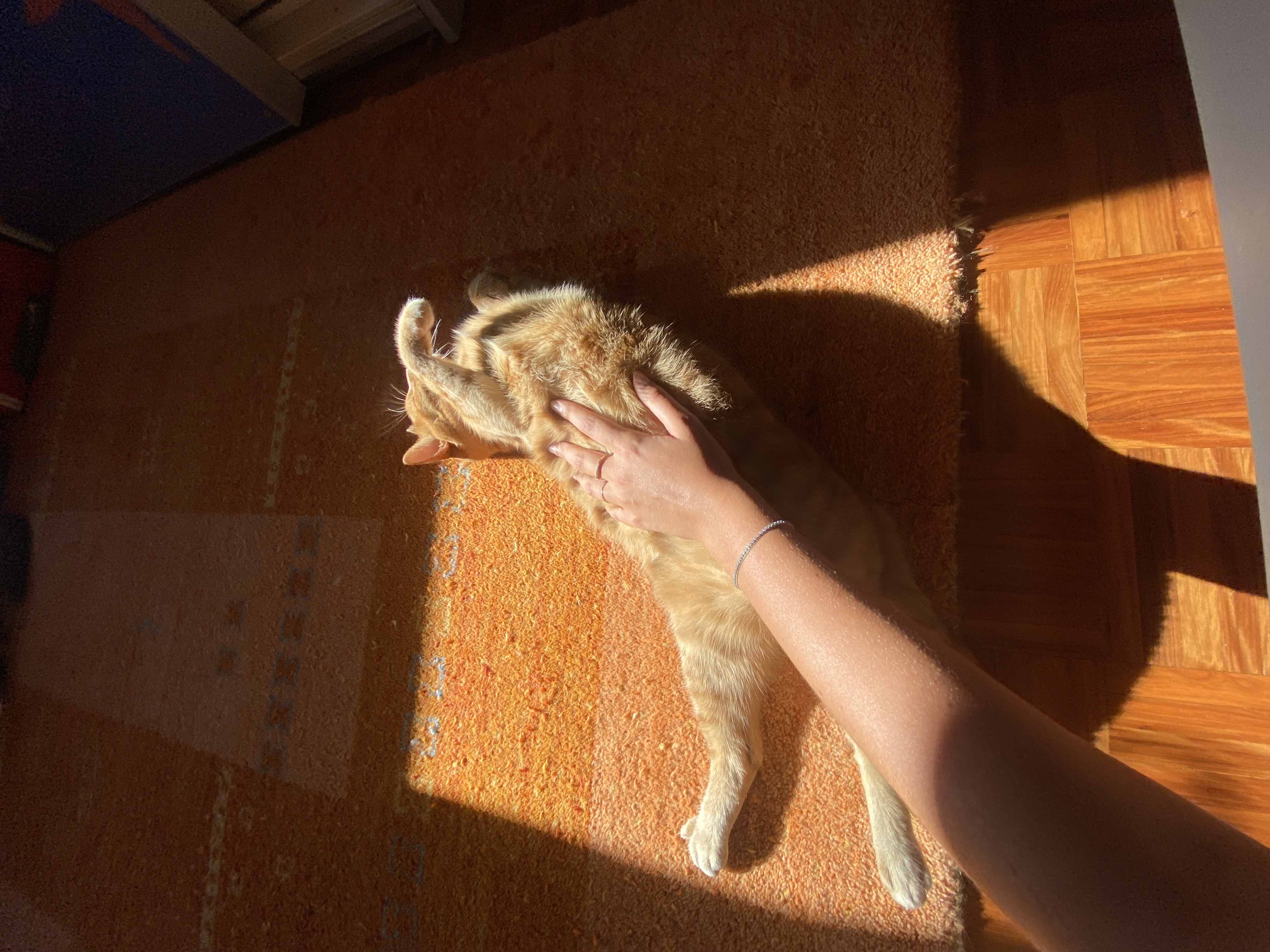 image-16