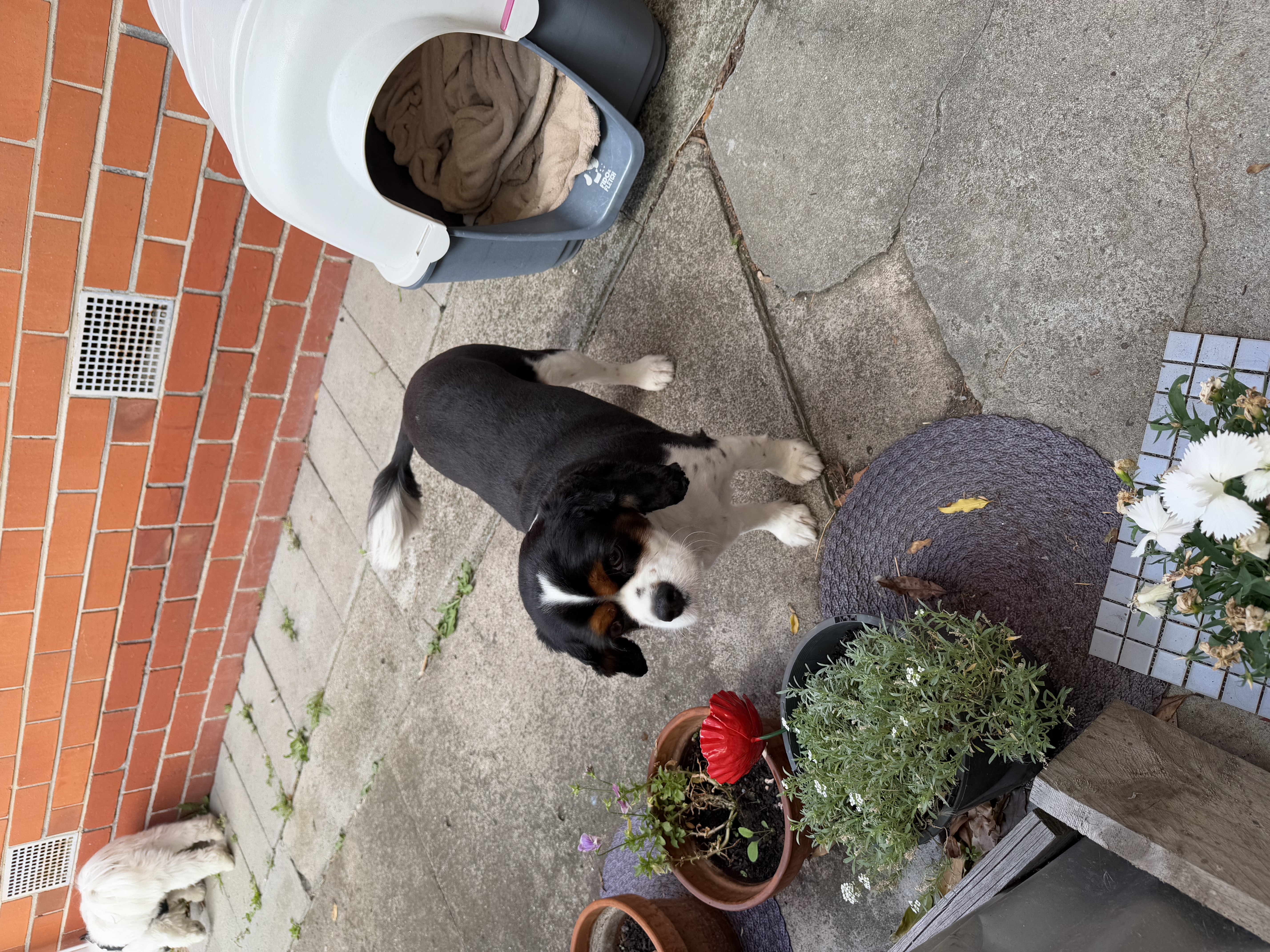 image-66