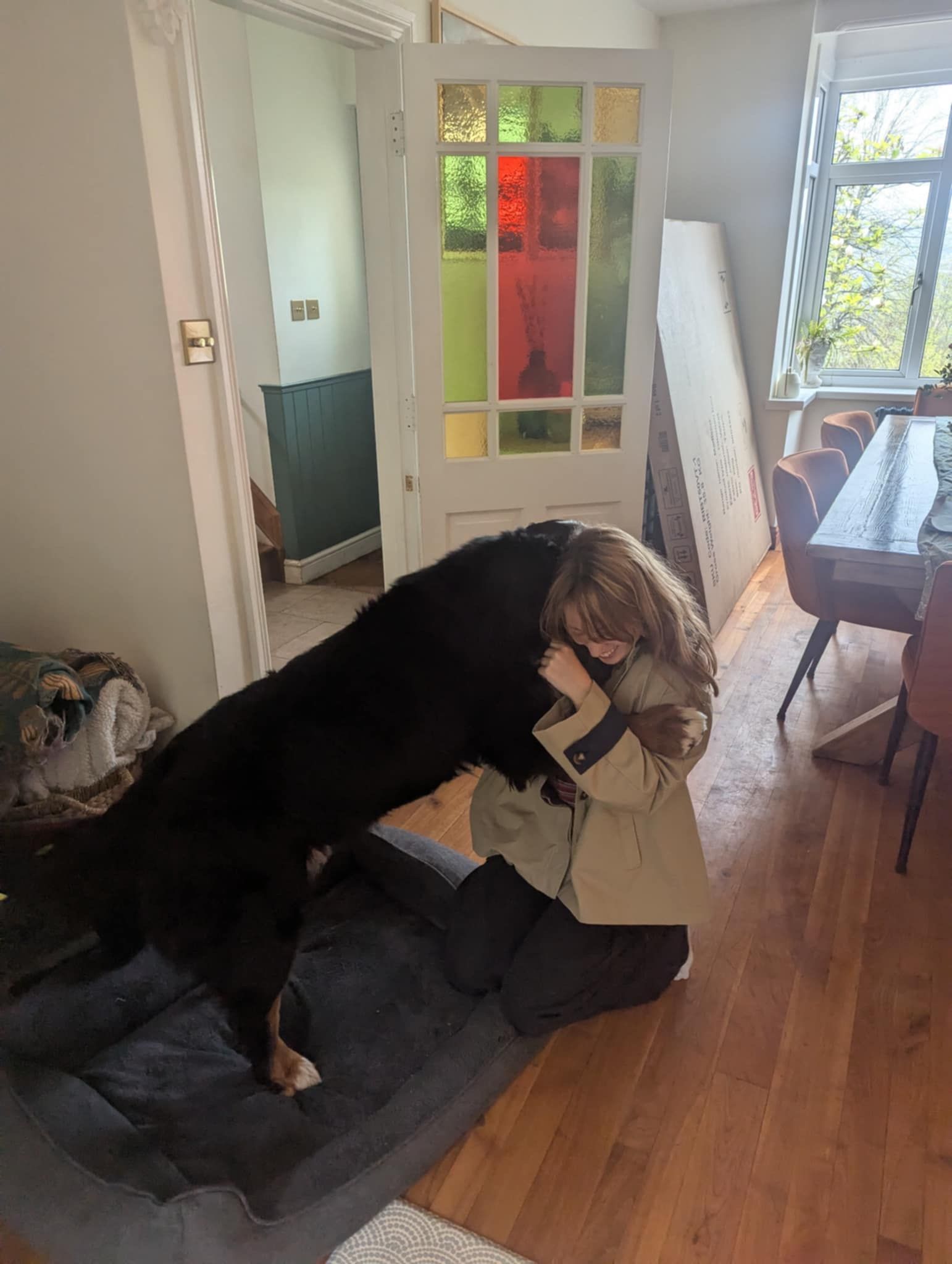 image-11