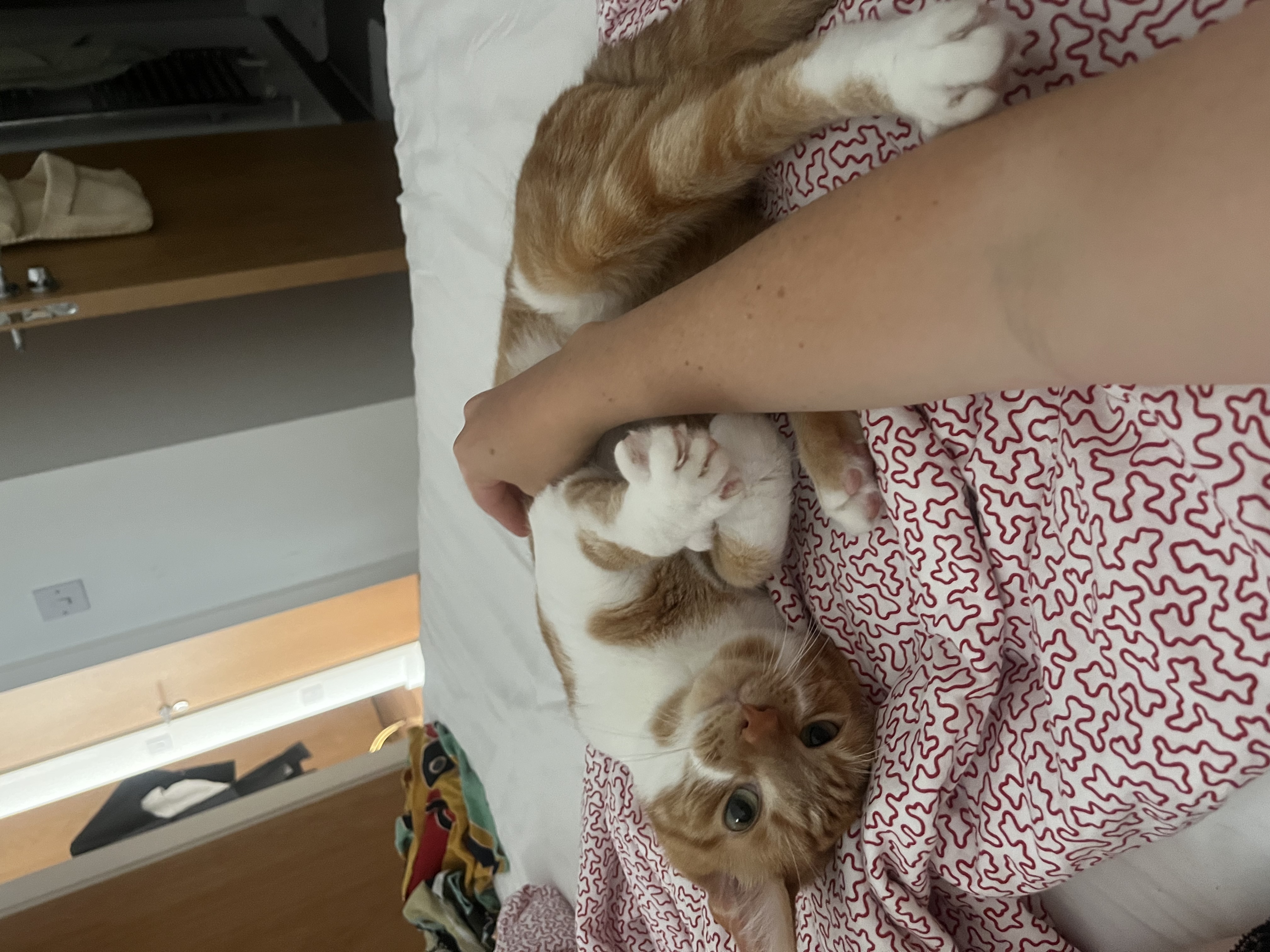 image-9