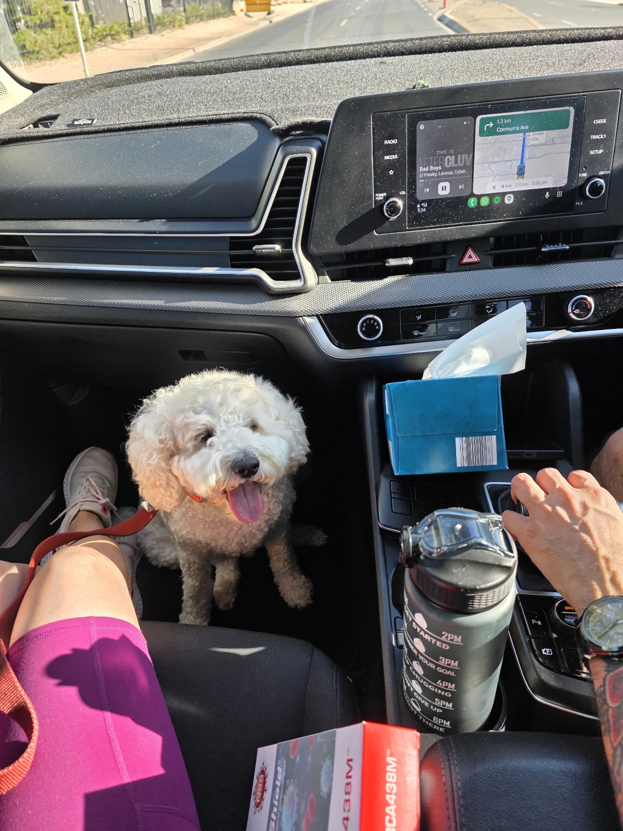 image-1
