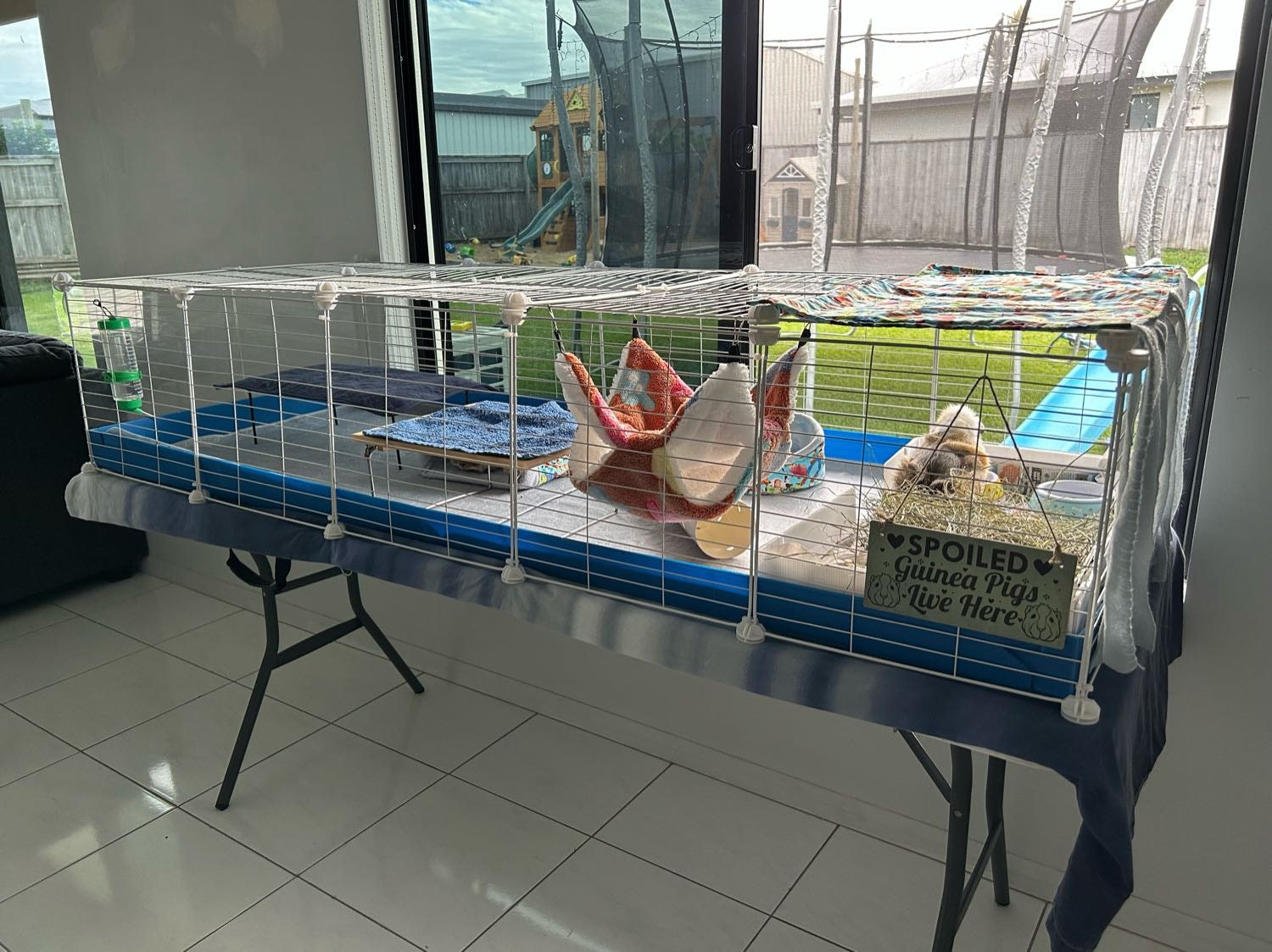 image-2