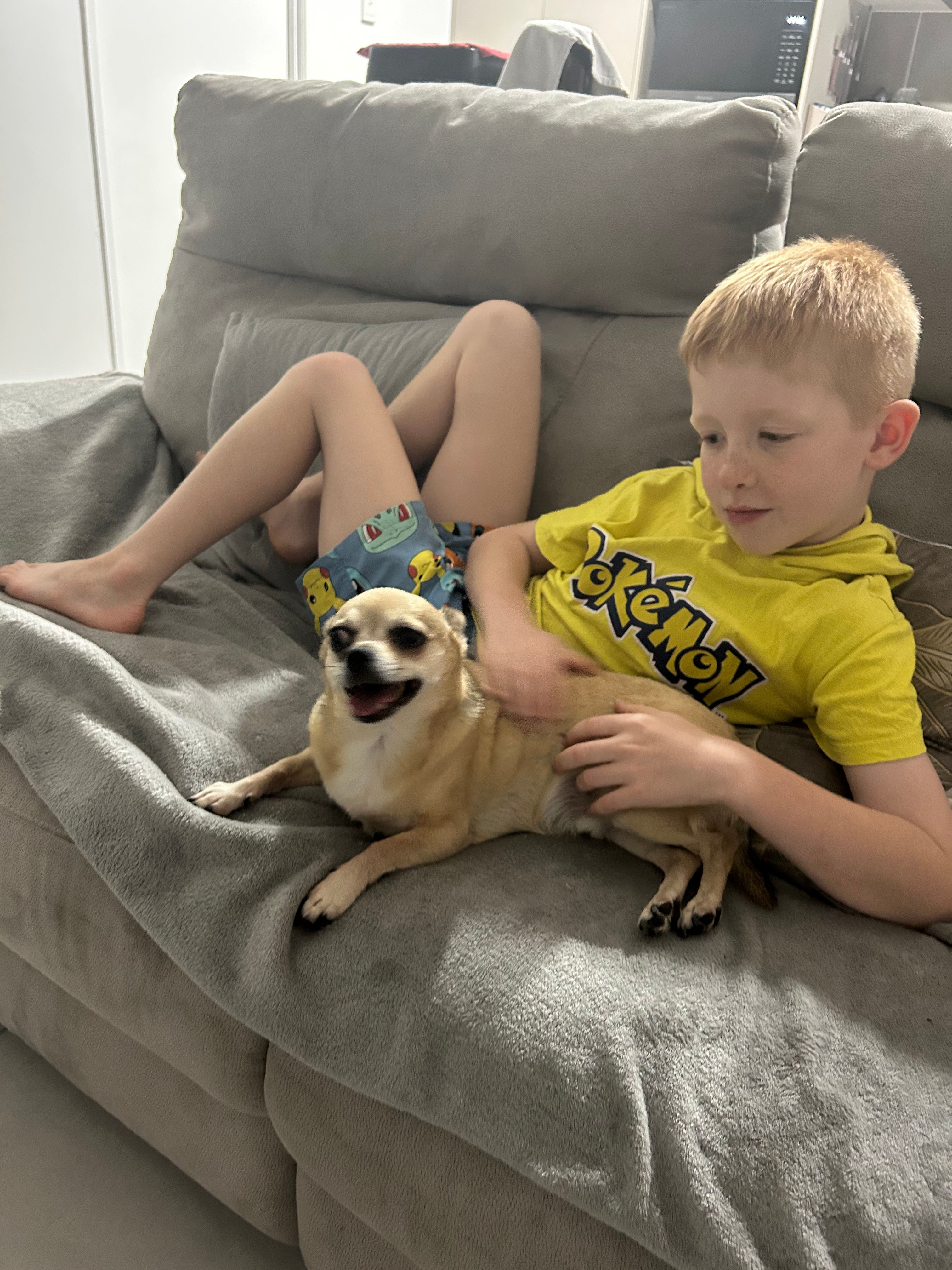 image-11
