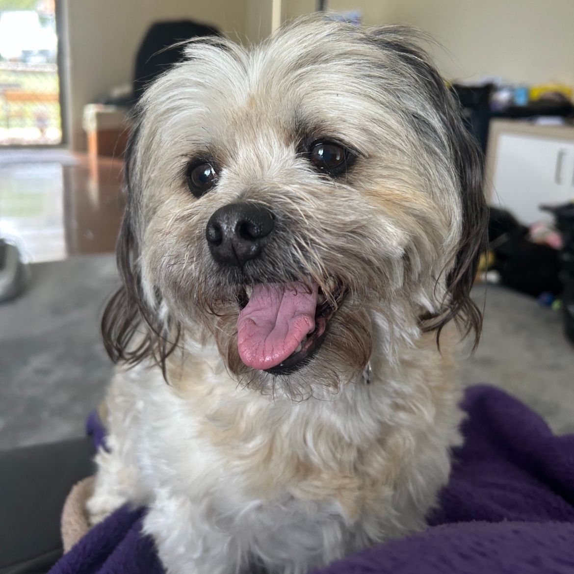 Zoe