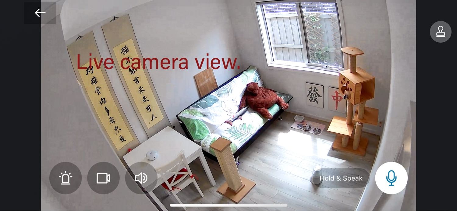 image-10