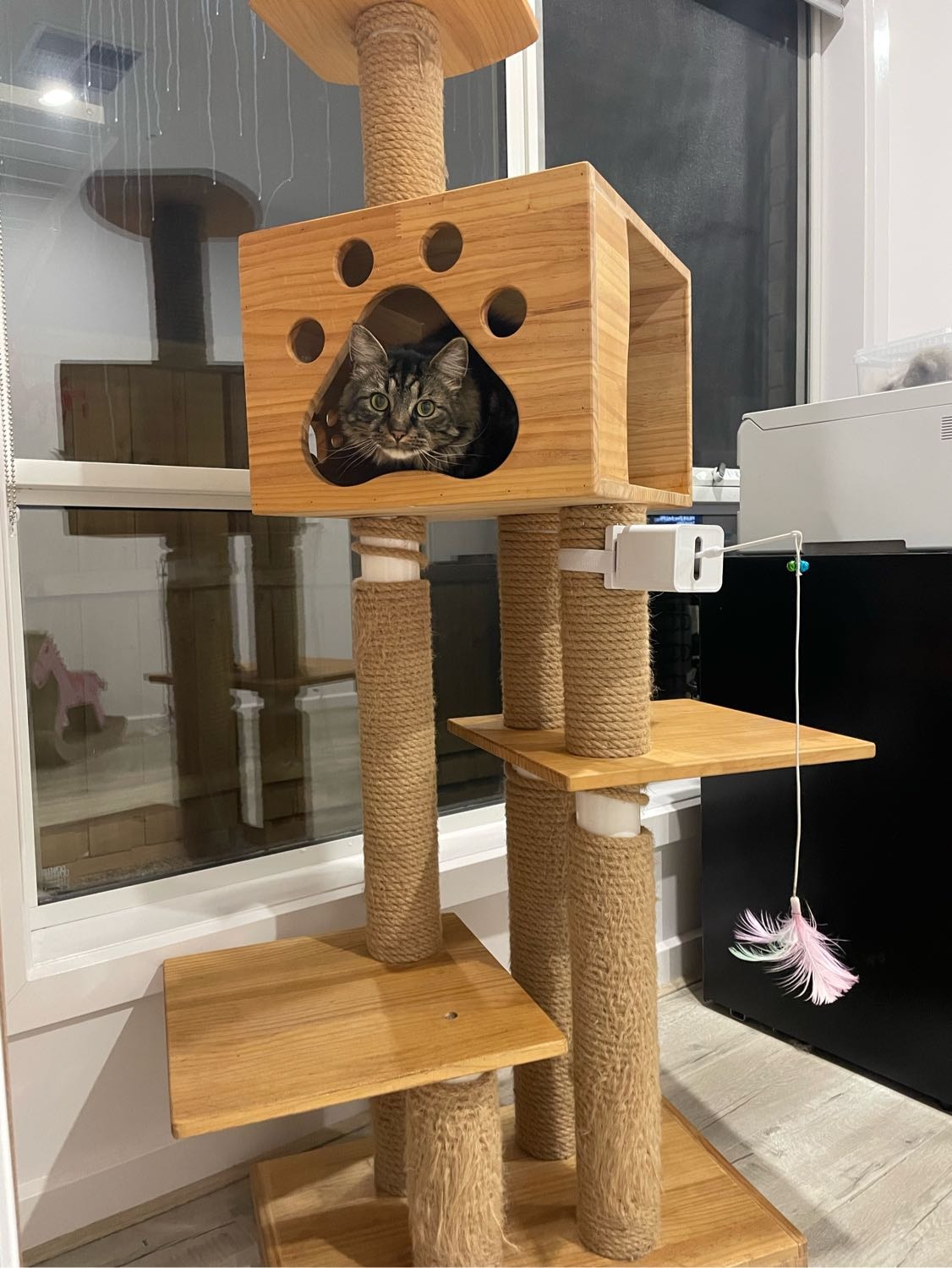 image-6
