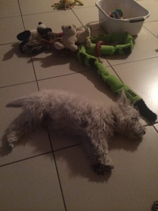 image-7