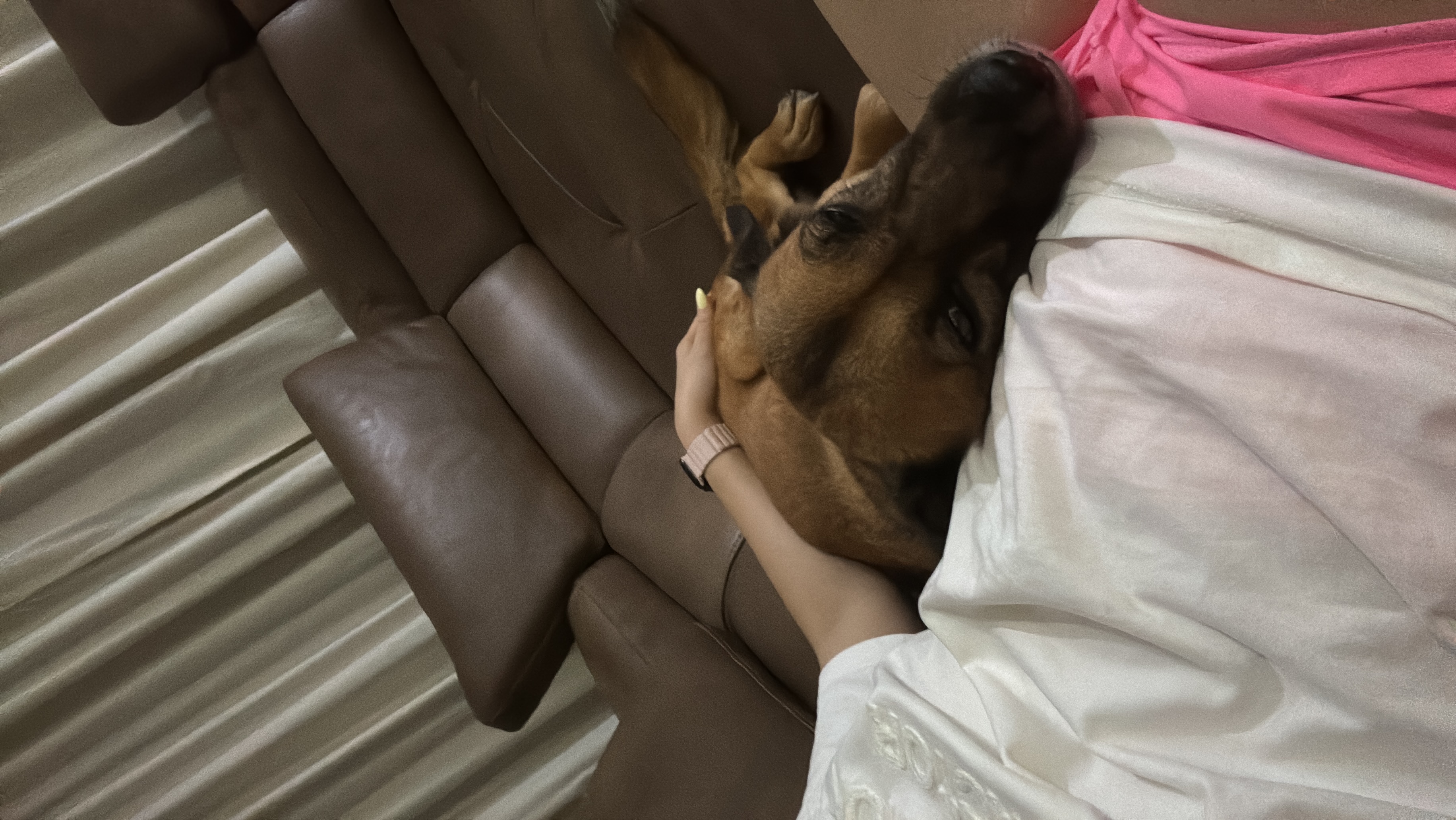 image-10