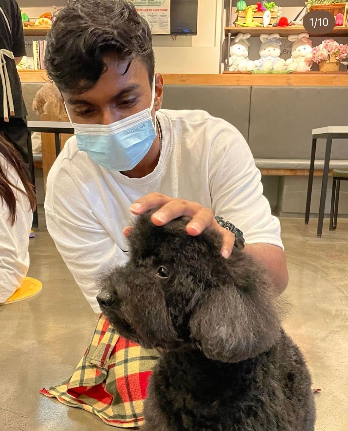 image-0