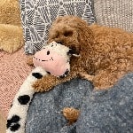 George