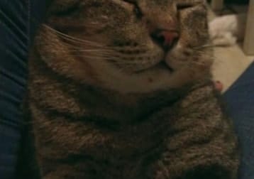 Tigger