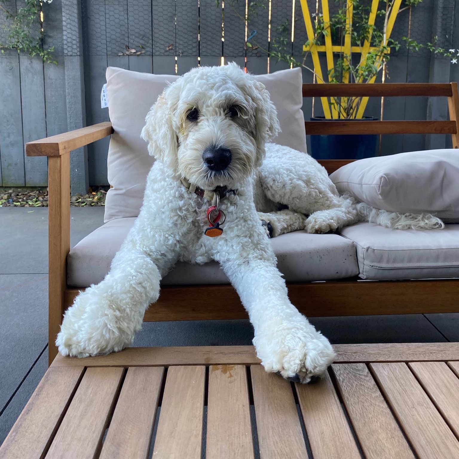 Otis