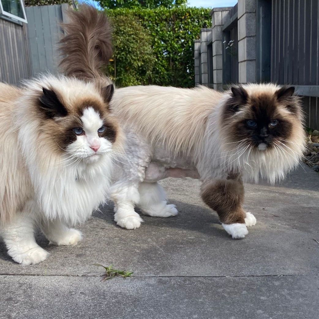 Pablo And Ruby