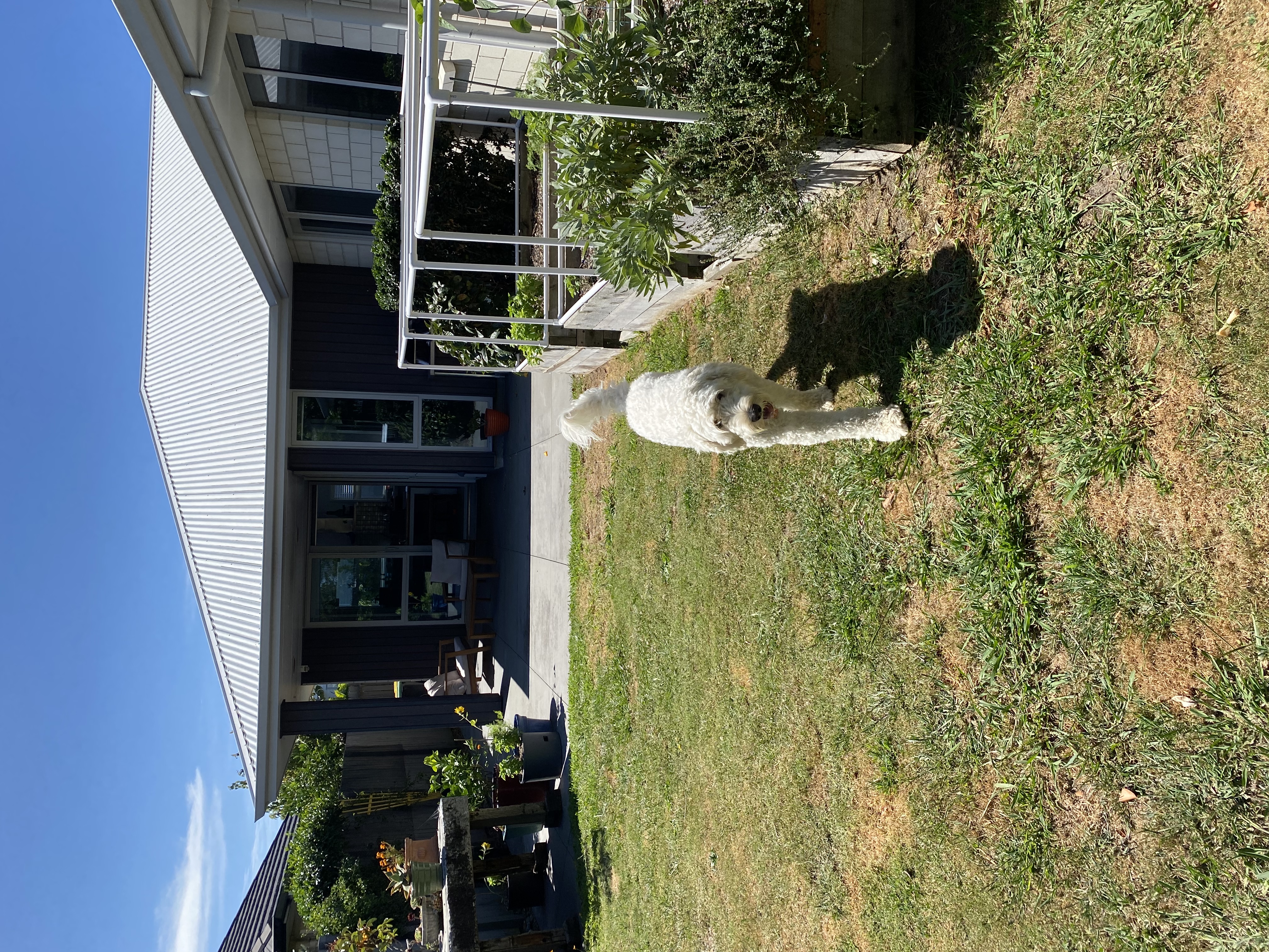 image-14