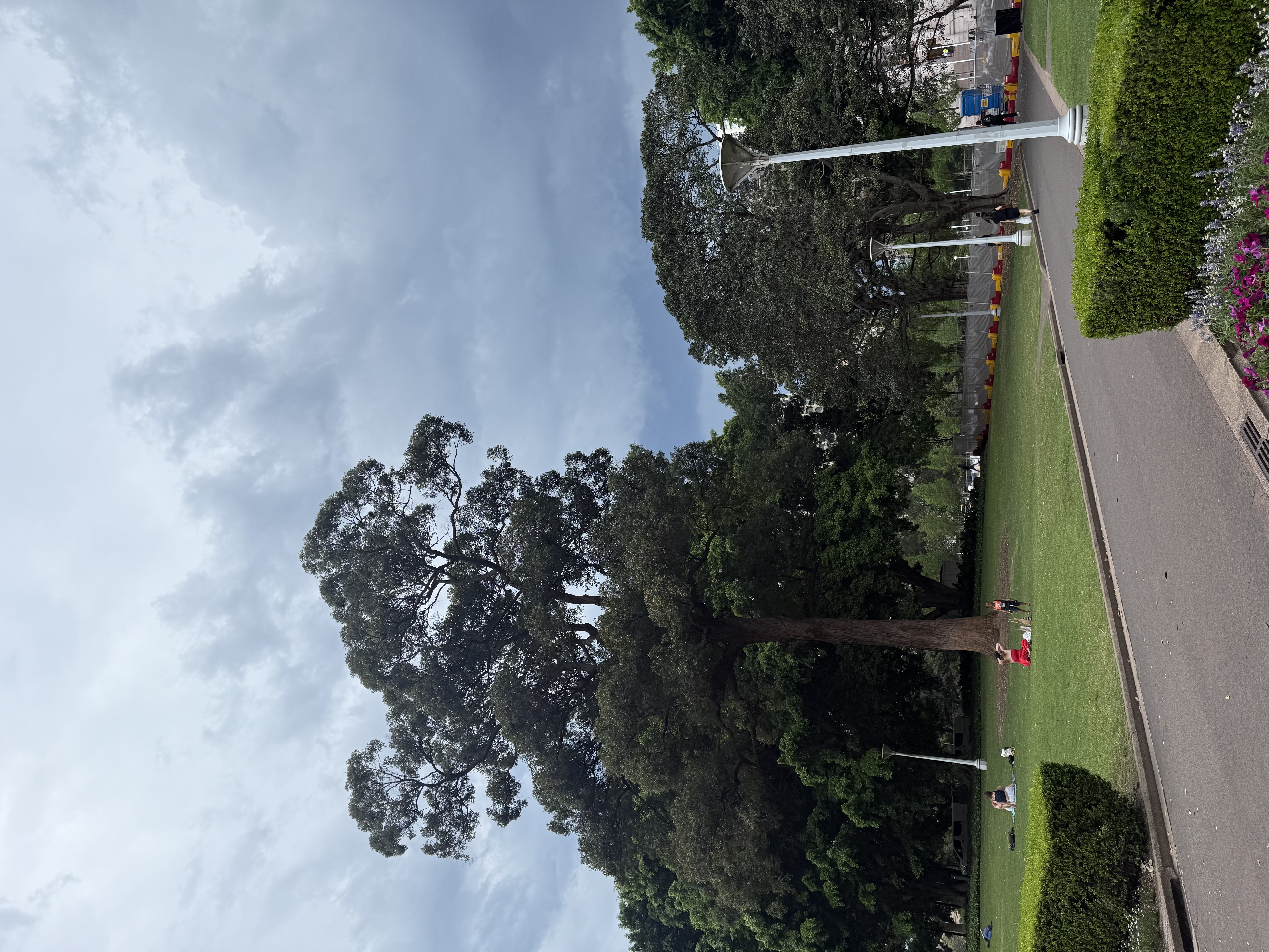 image-16