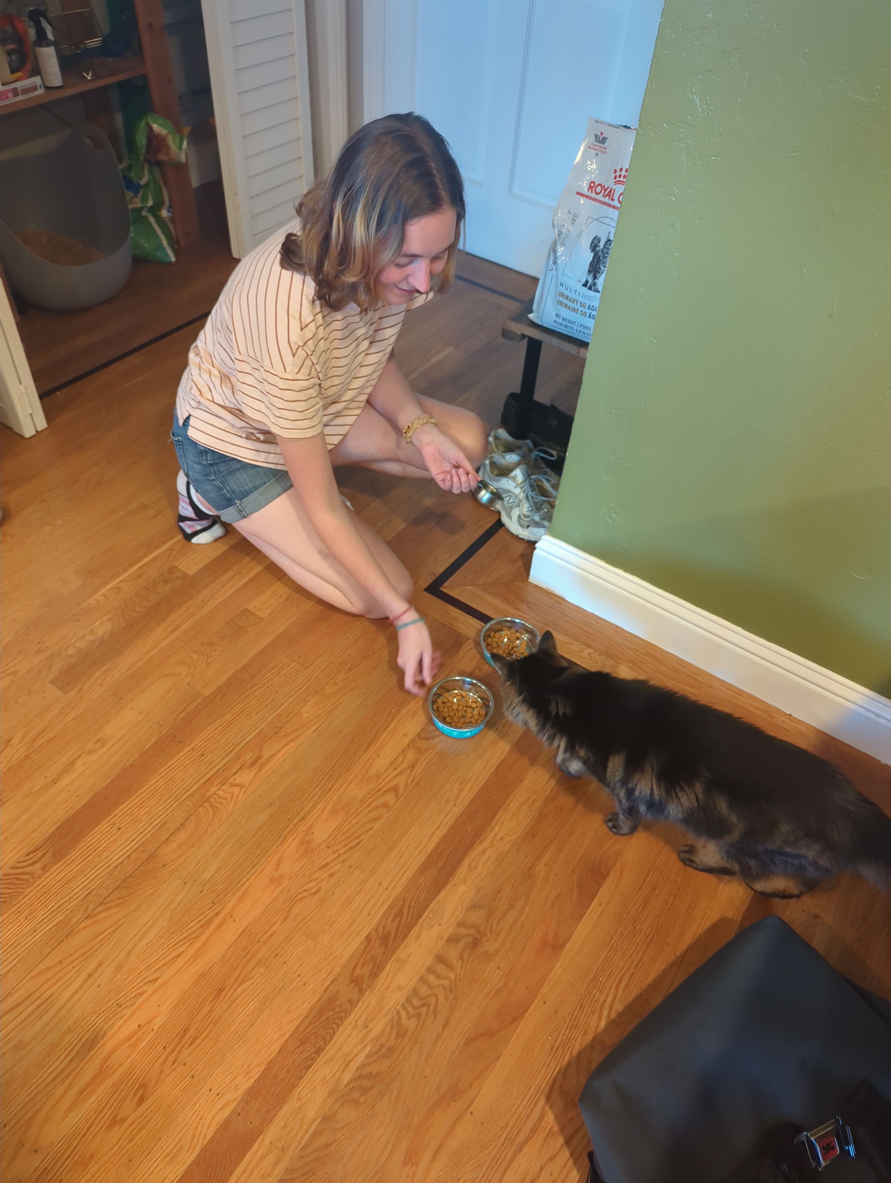 image-11