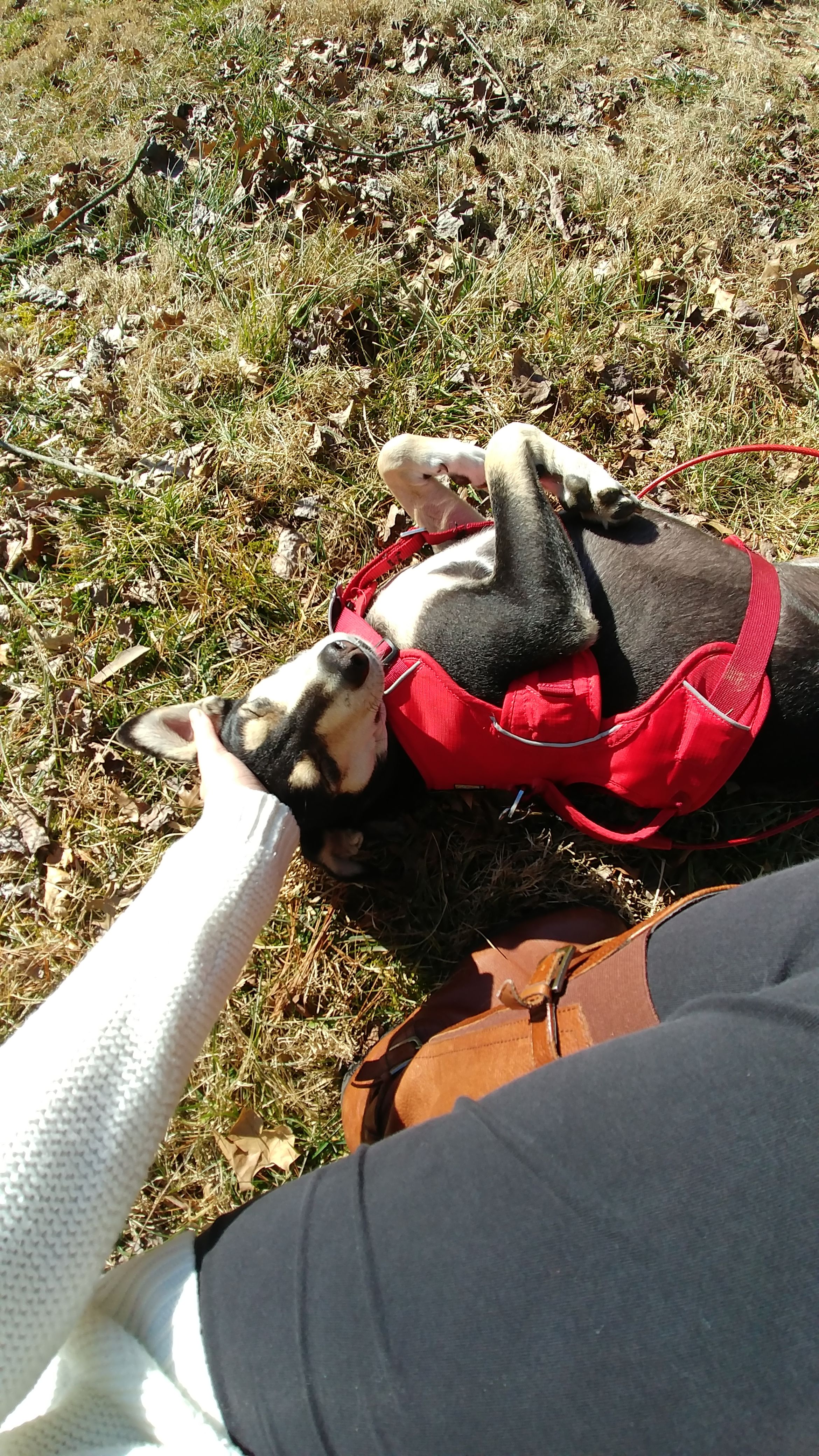 image-2