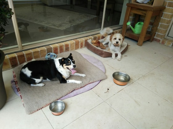 image-7