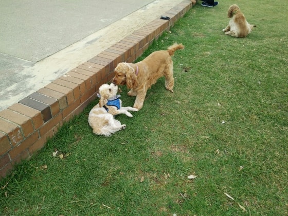 image-5
