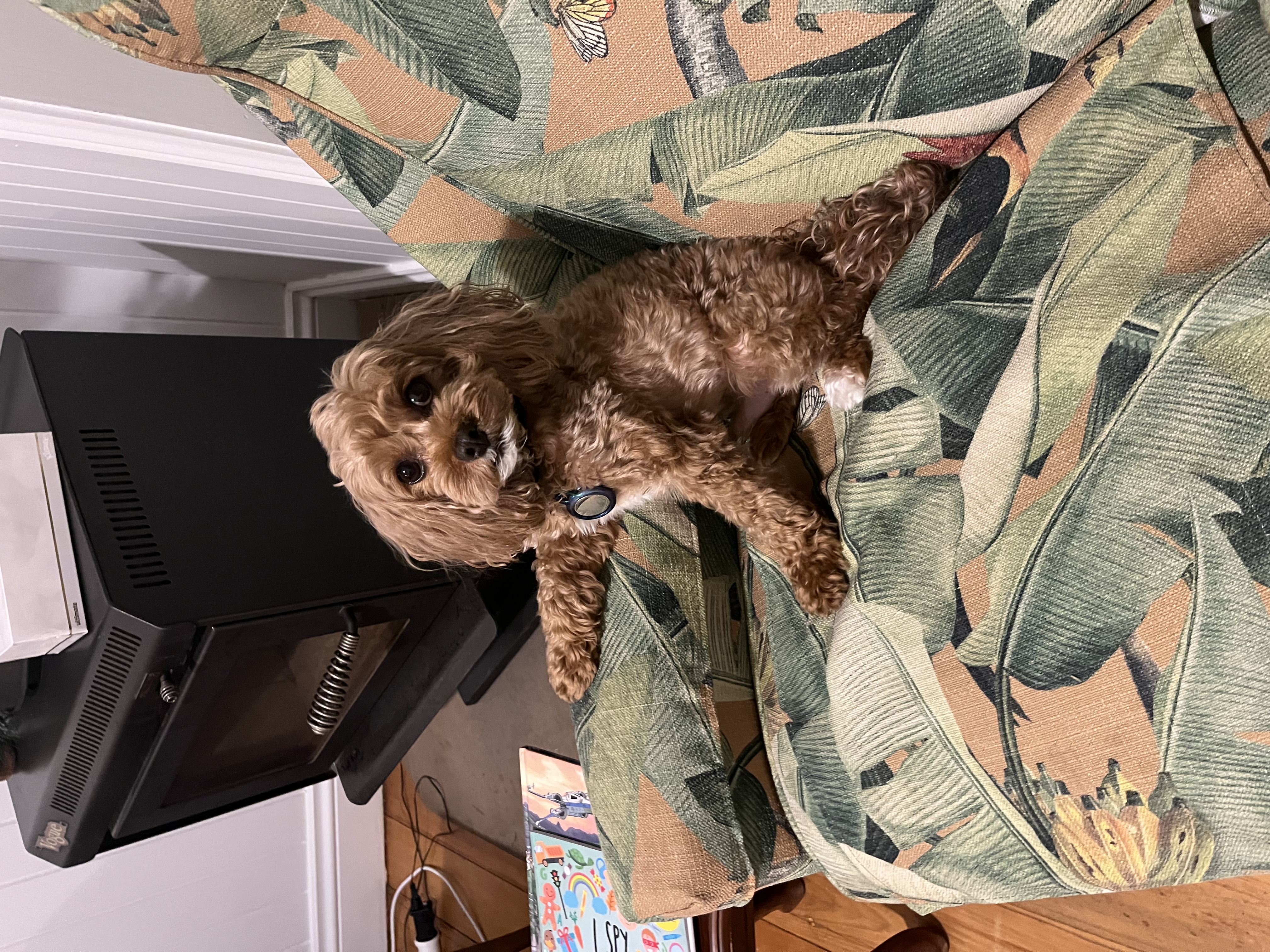 image-6