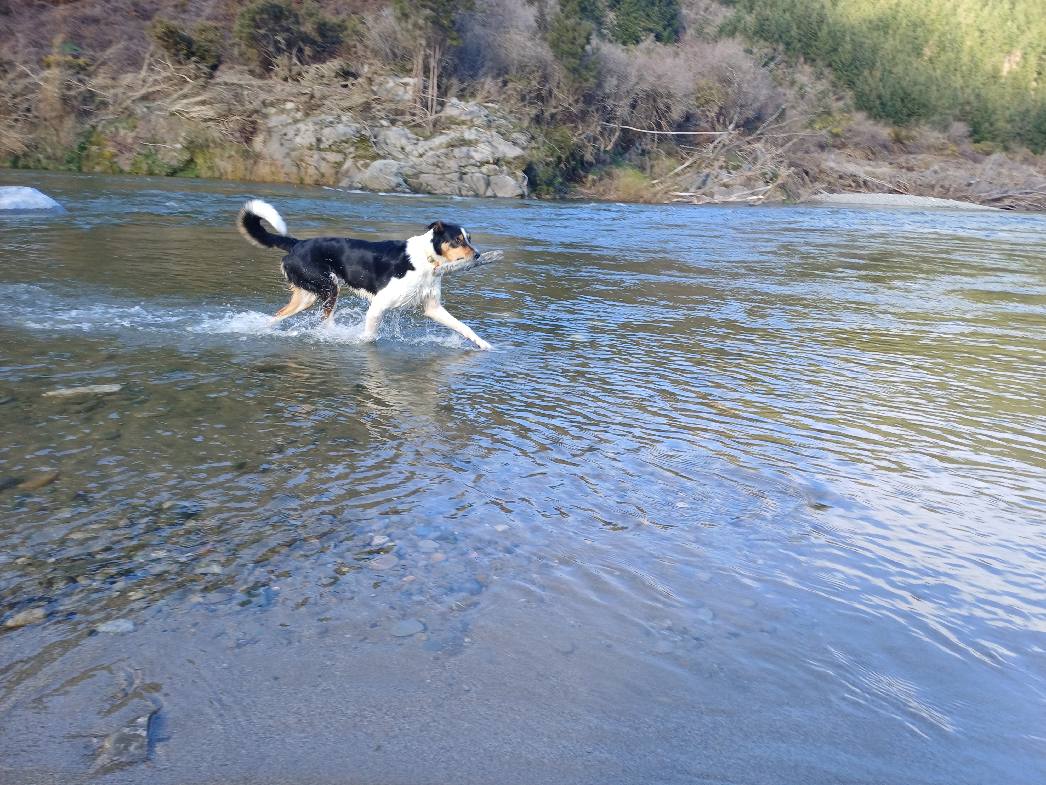 image-7