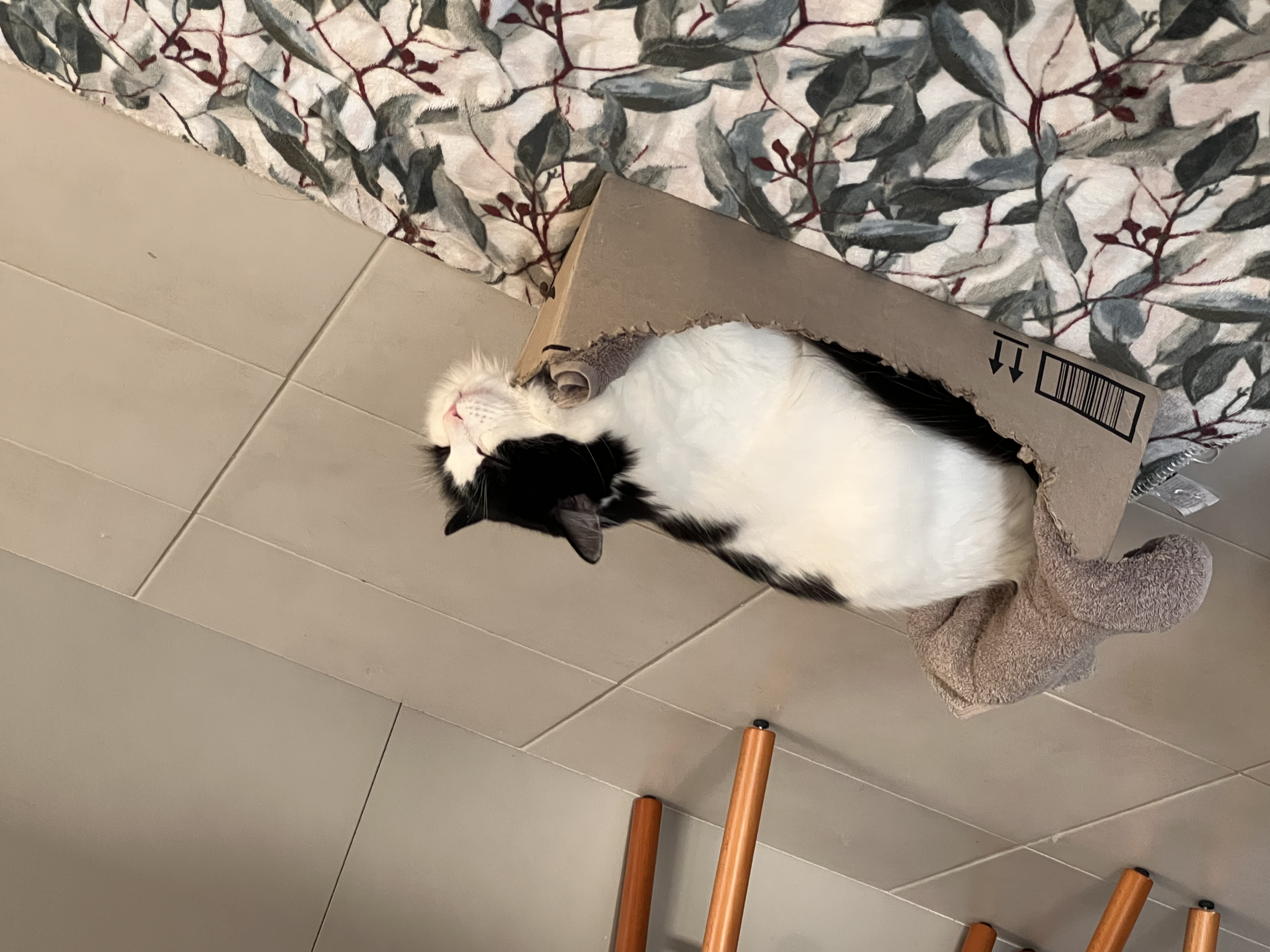 image-10