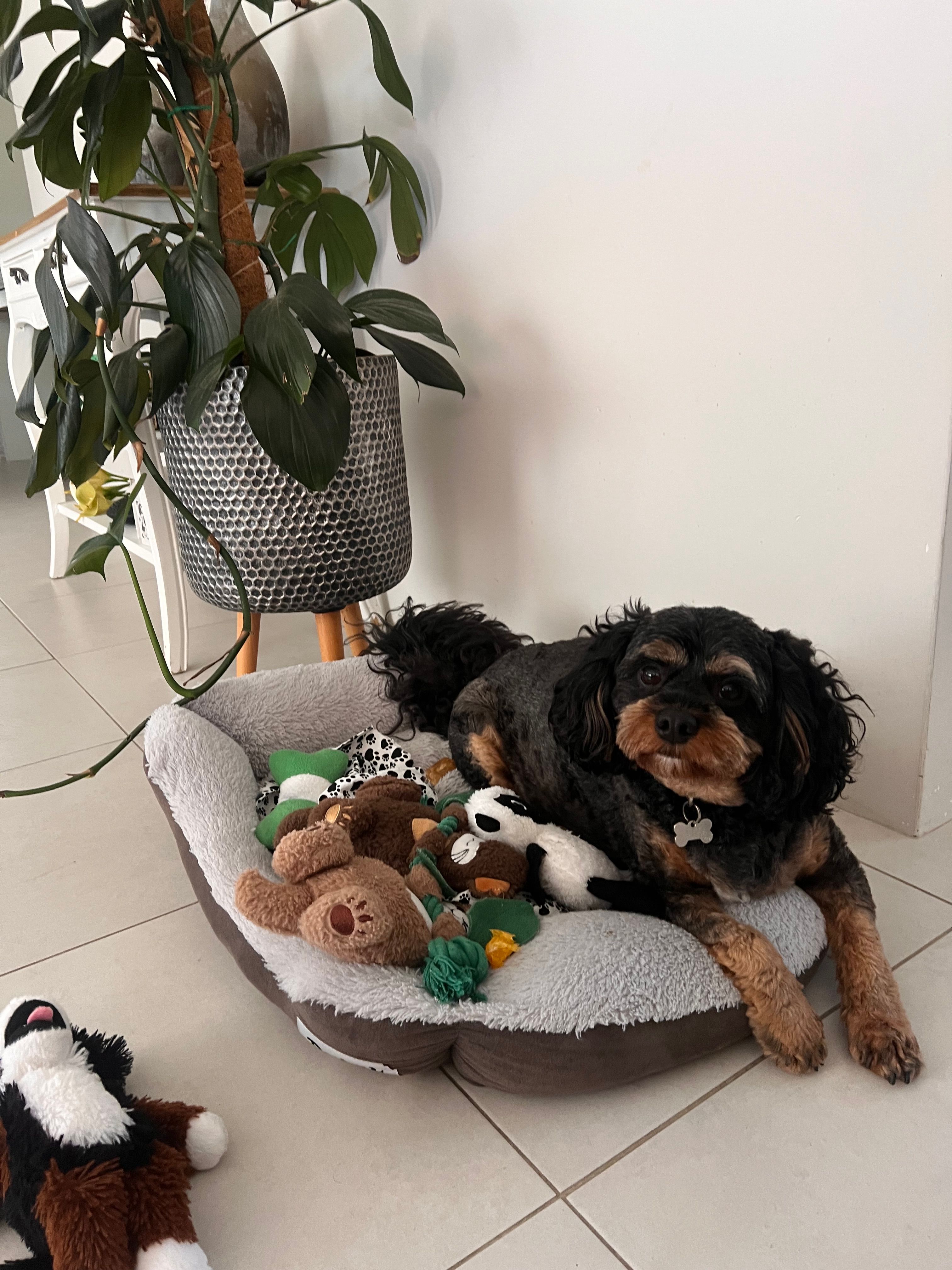 image-9