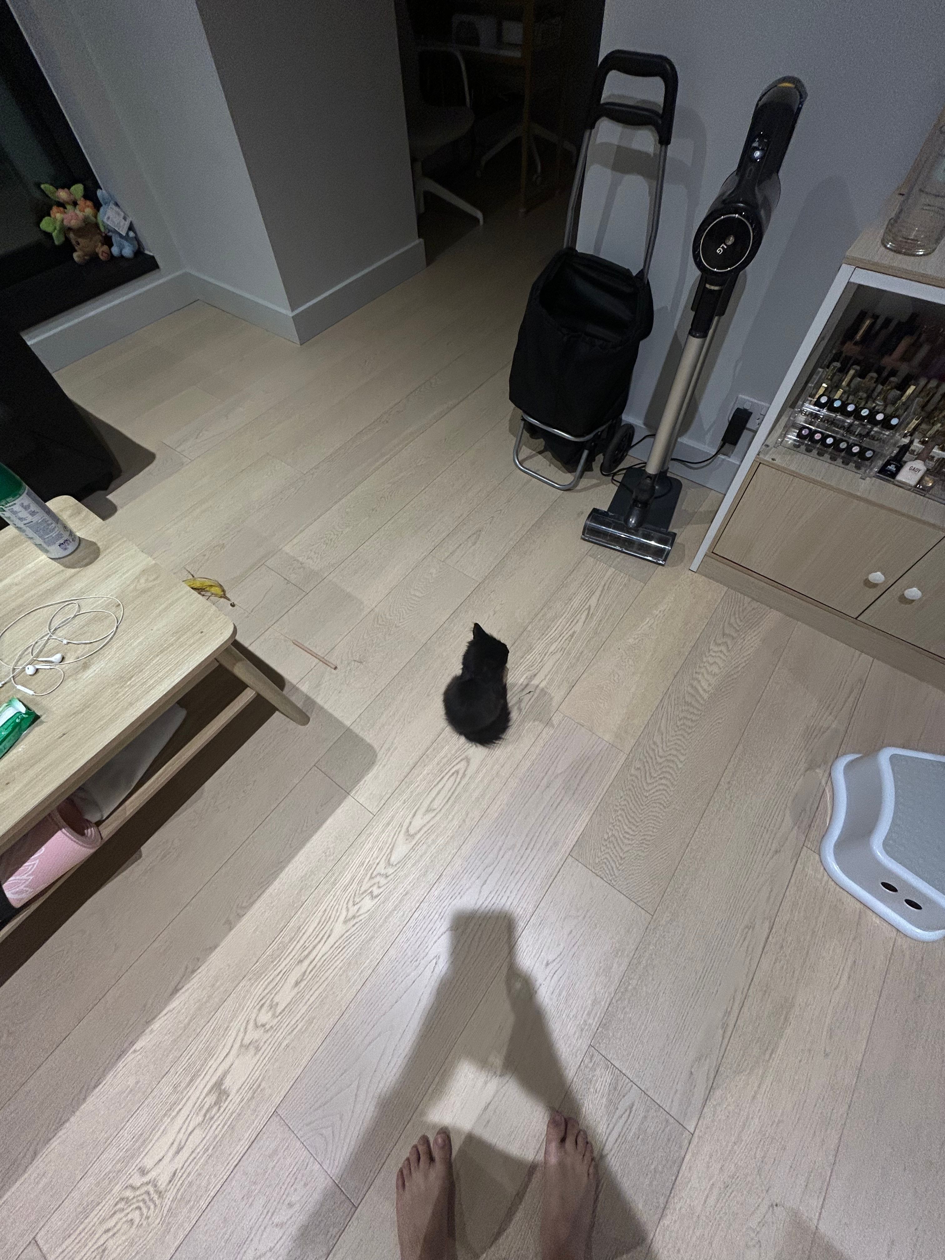 image-17