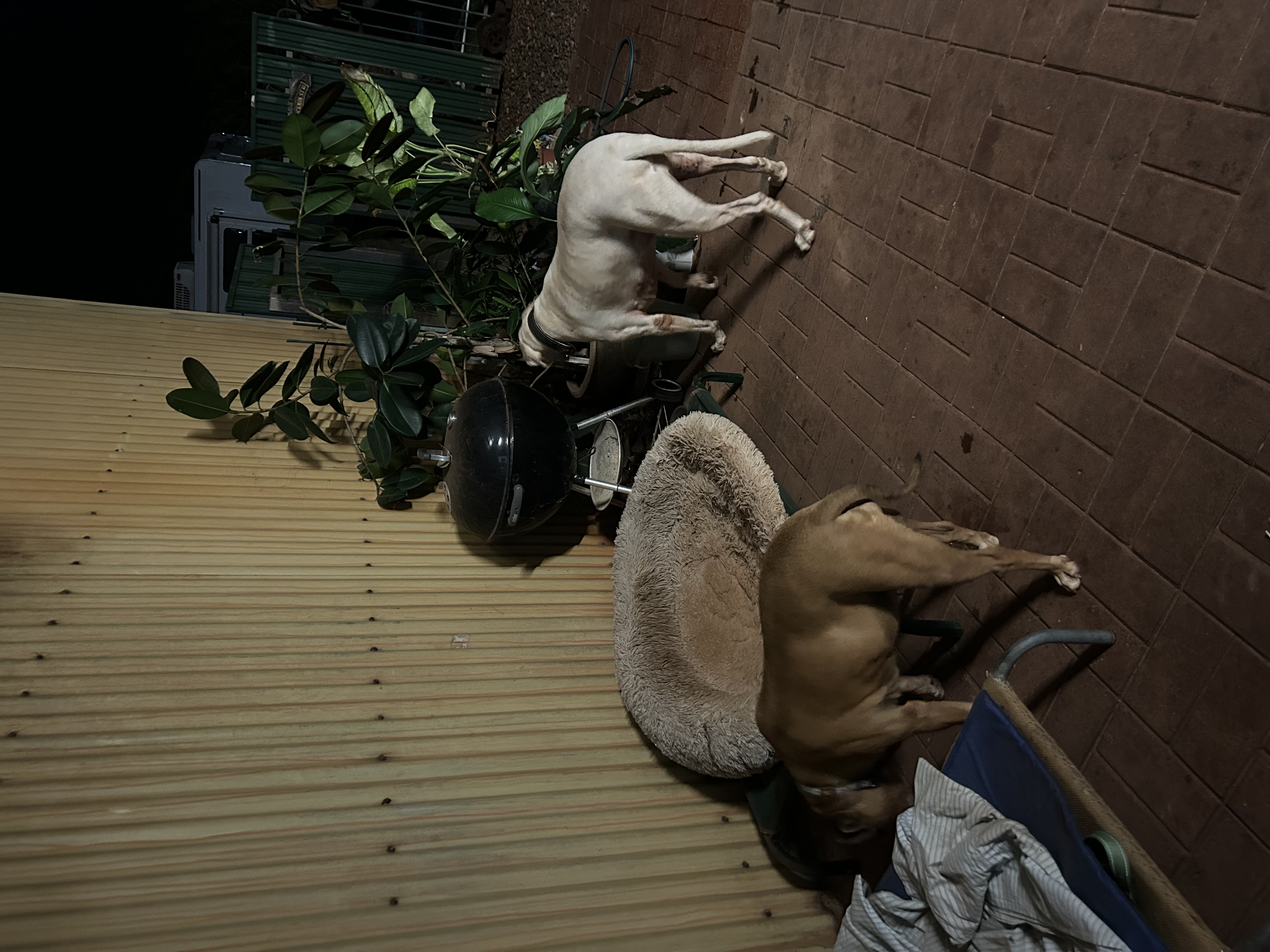image-5