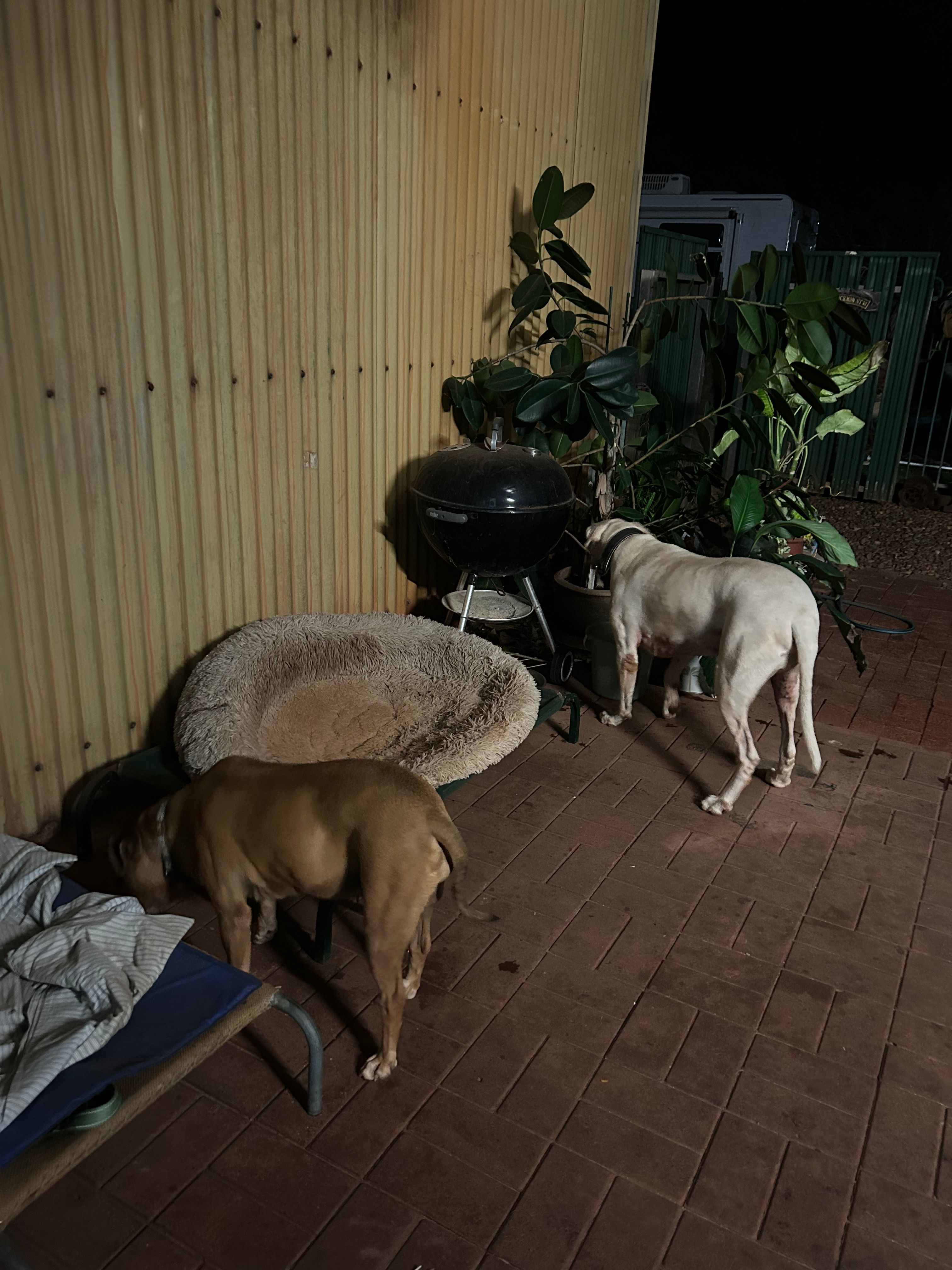 image-5