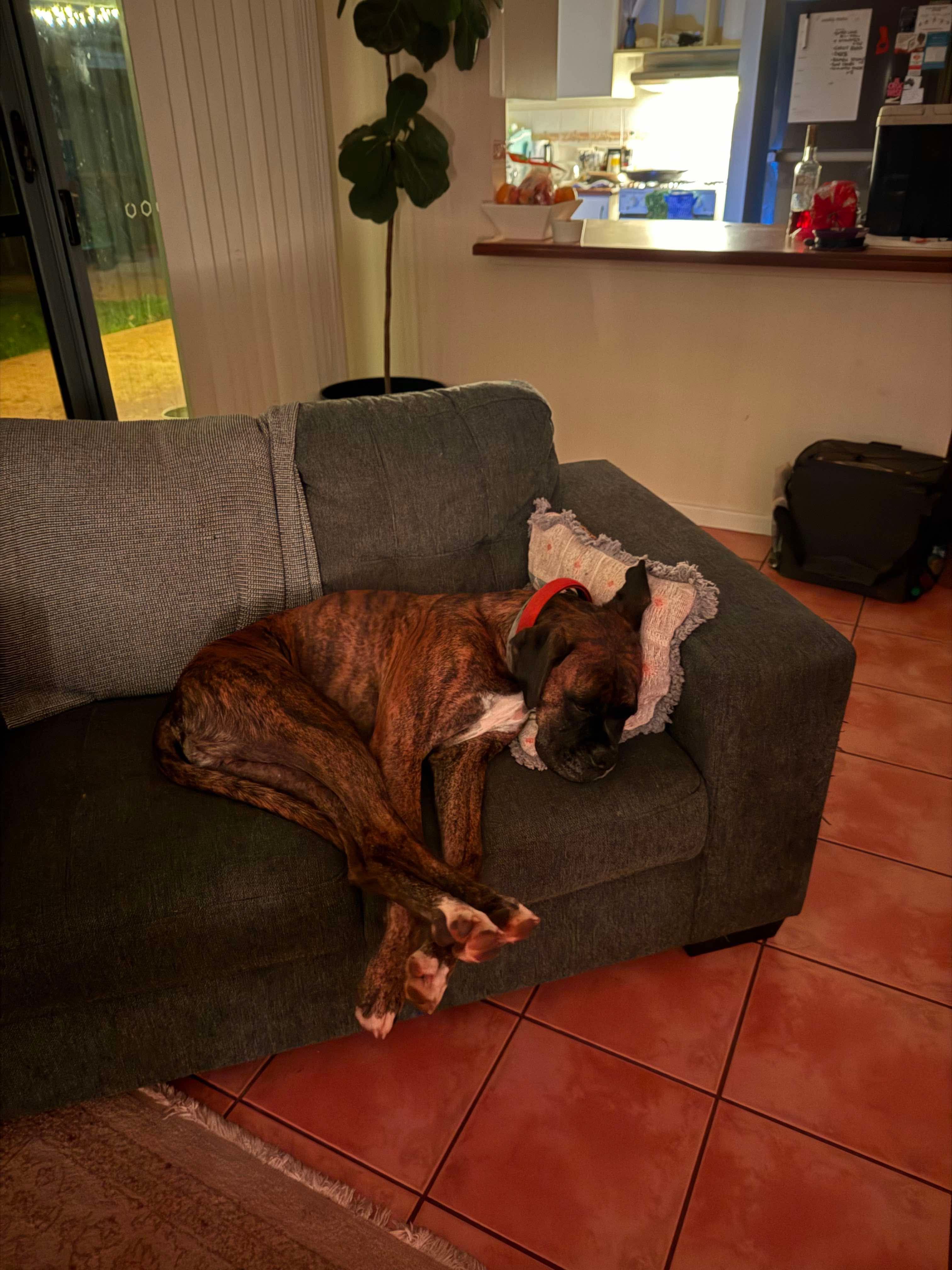 image-10
