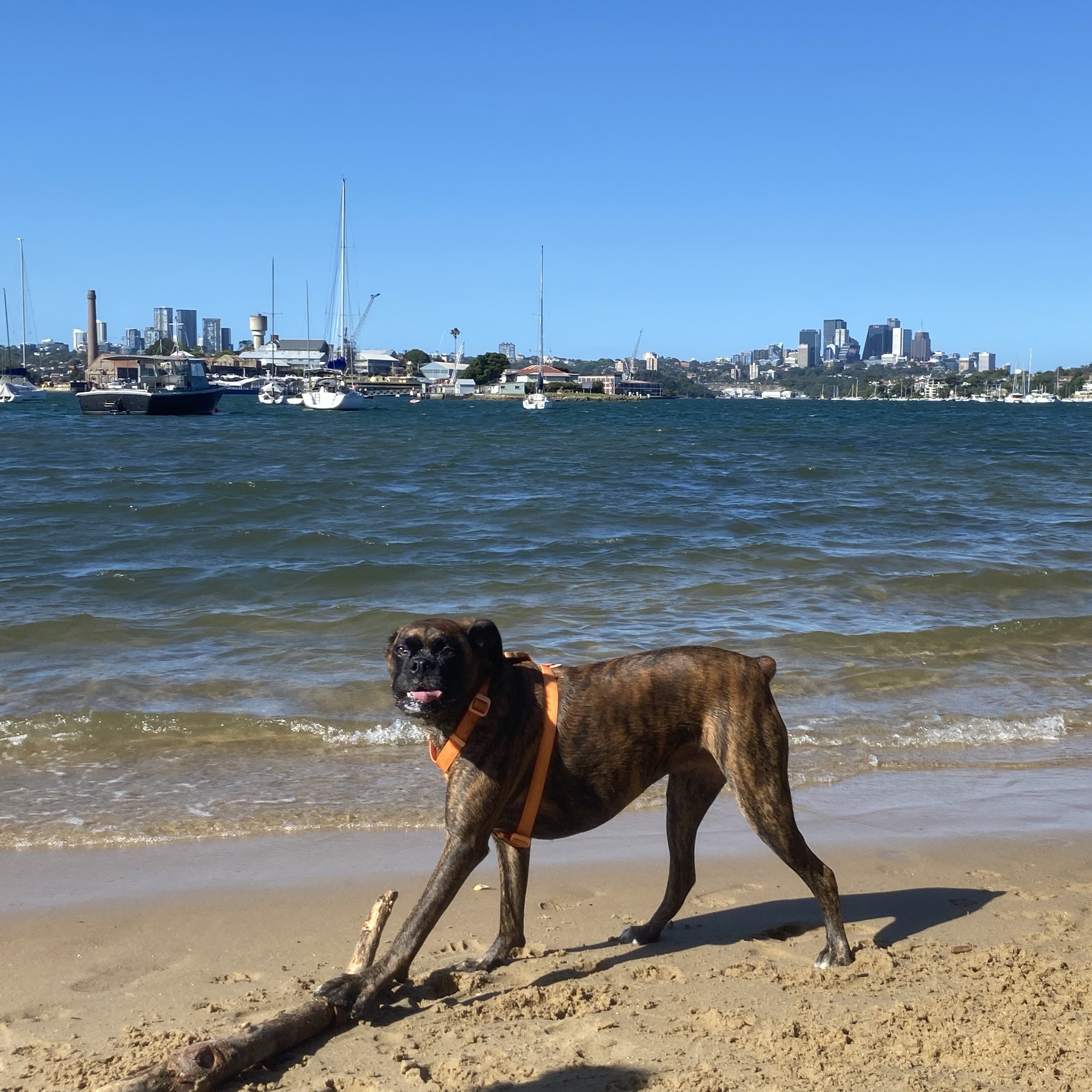 Kirra