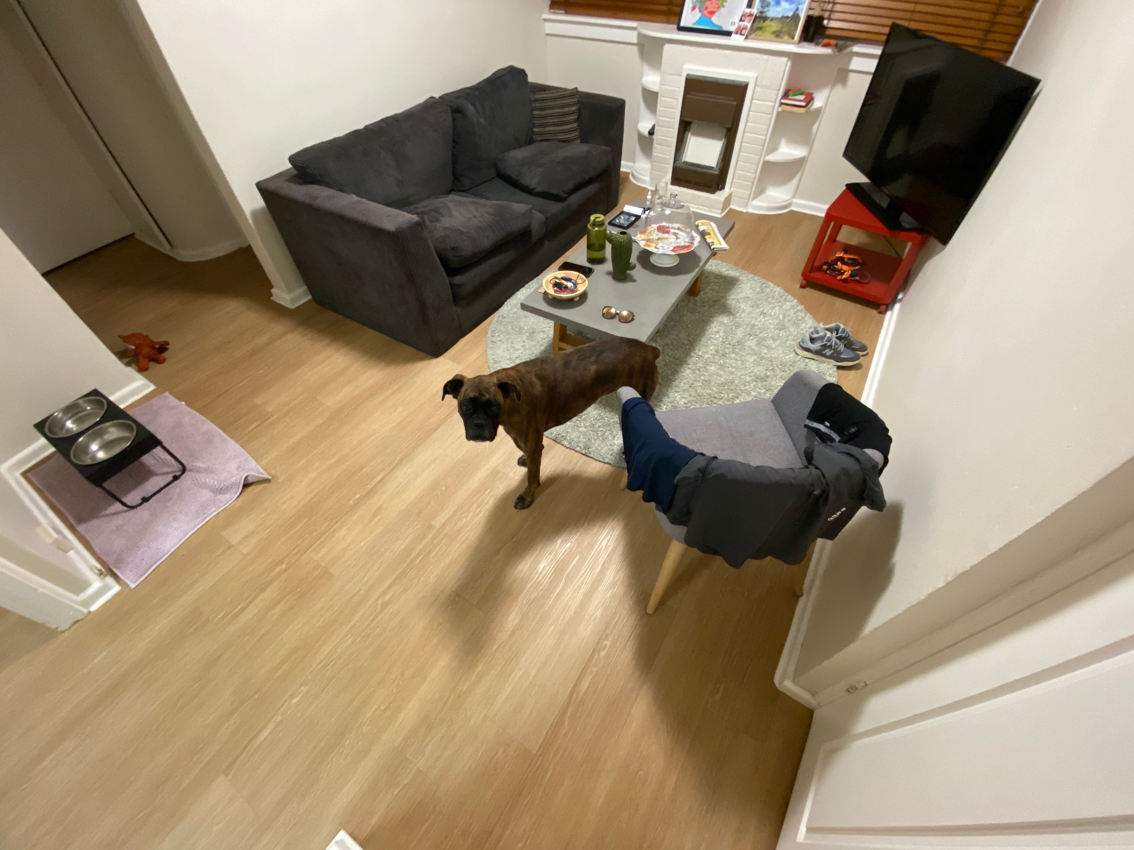 image-15