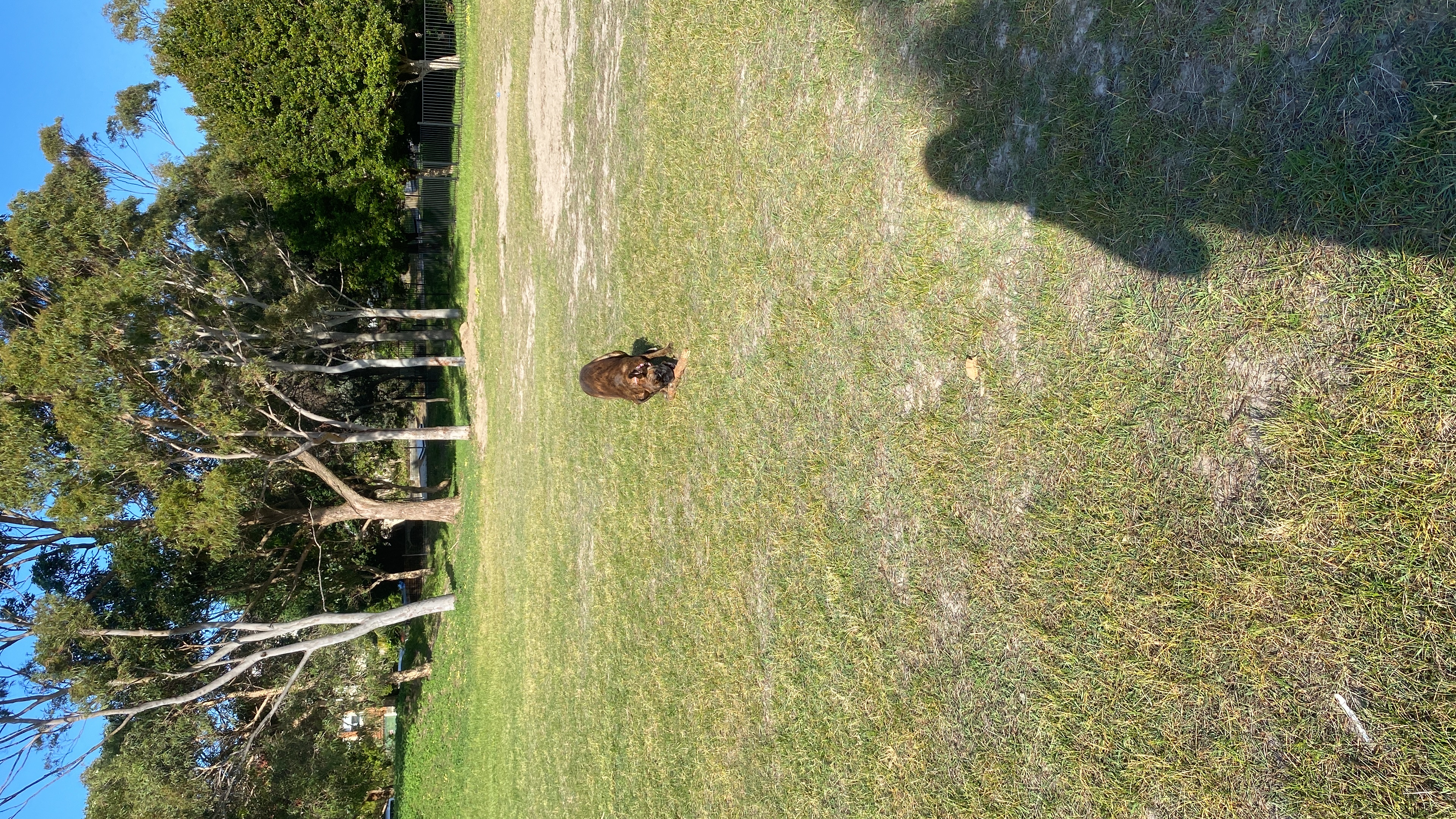 image-13