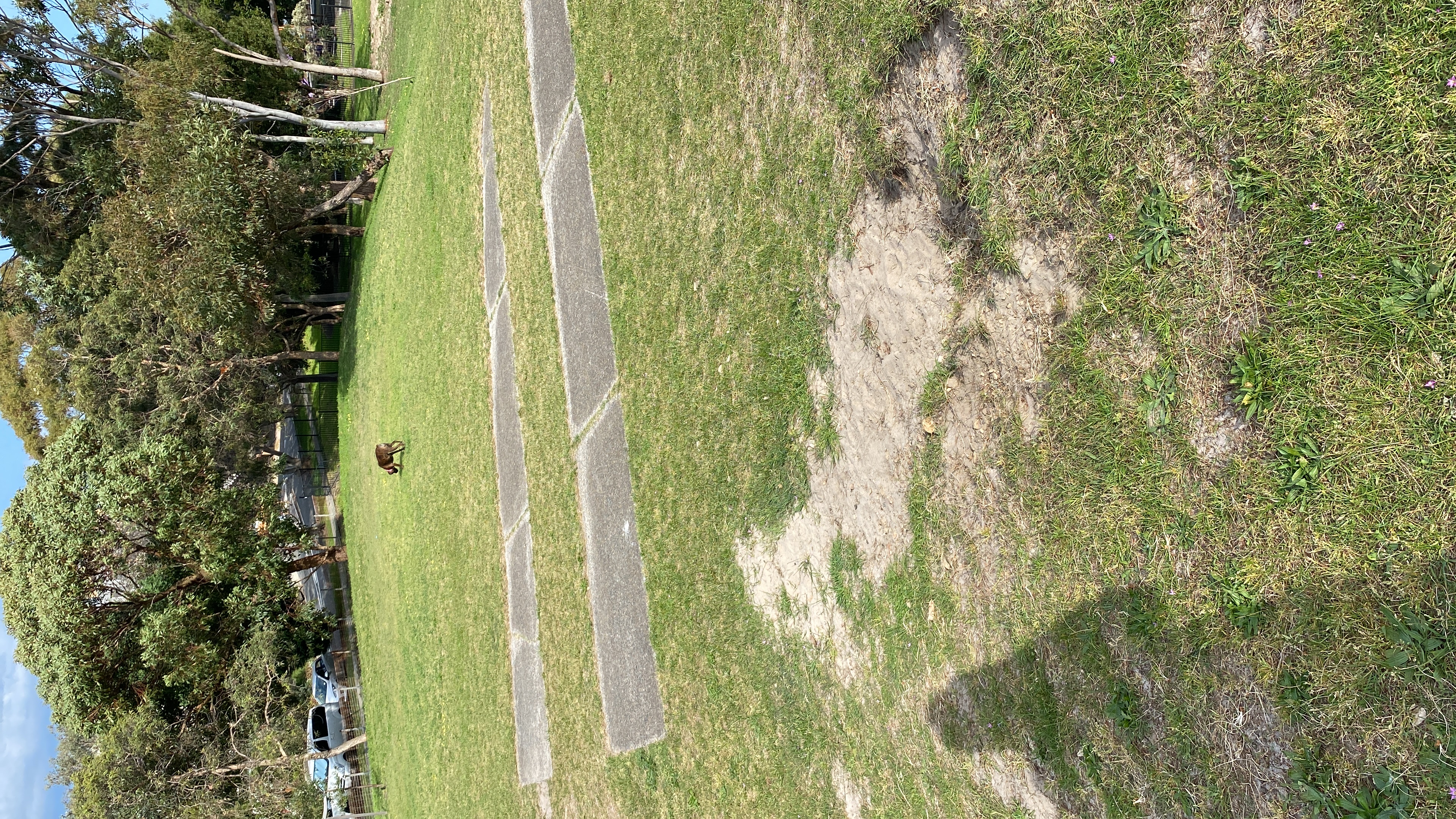 image-17