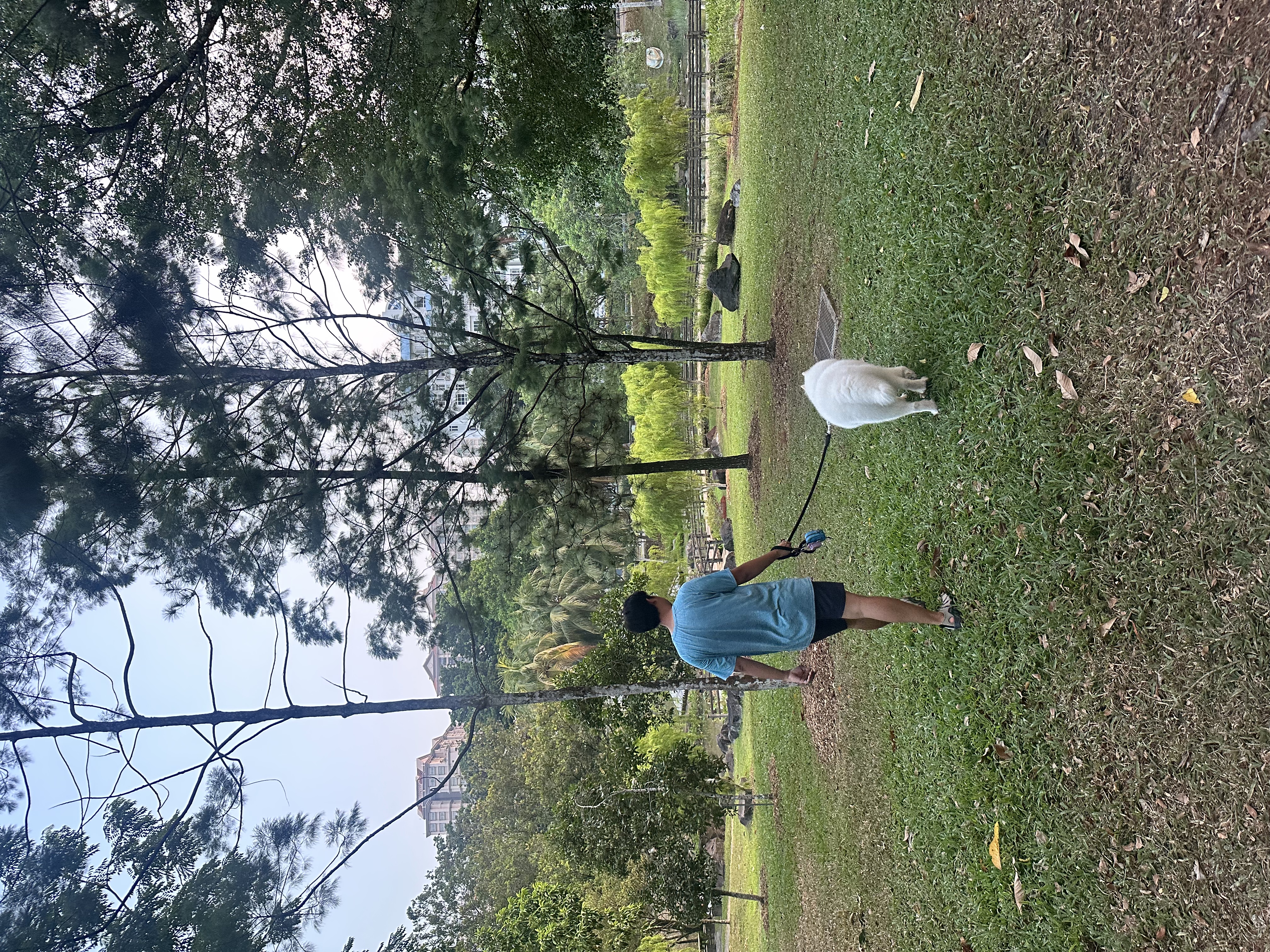 image-26