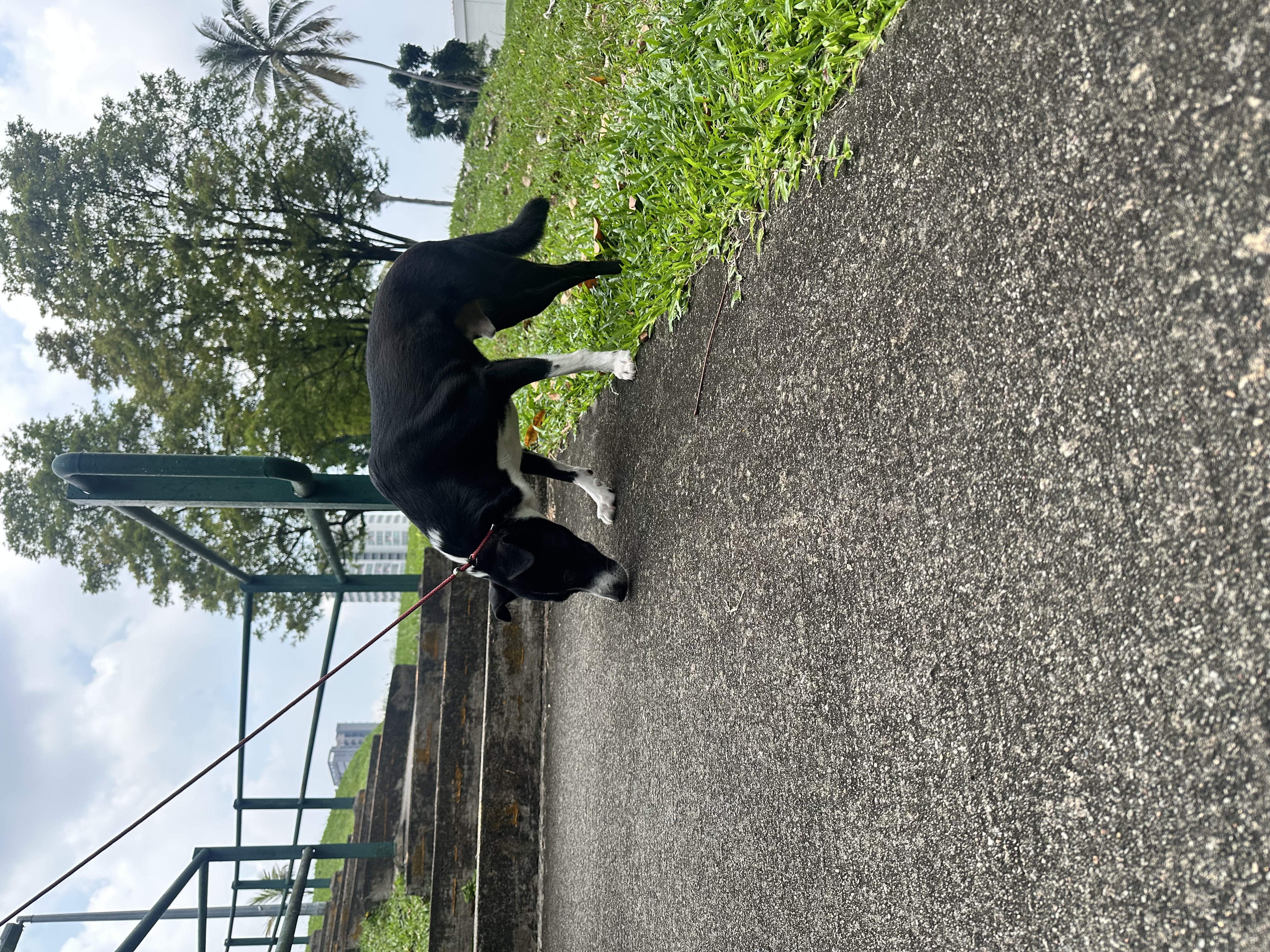 image-25