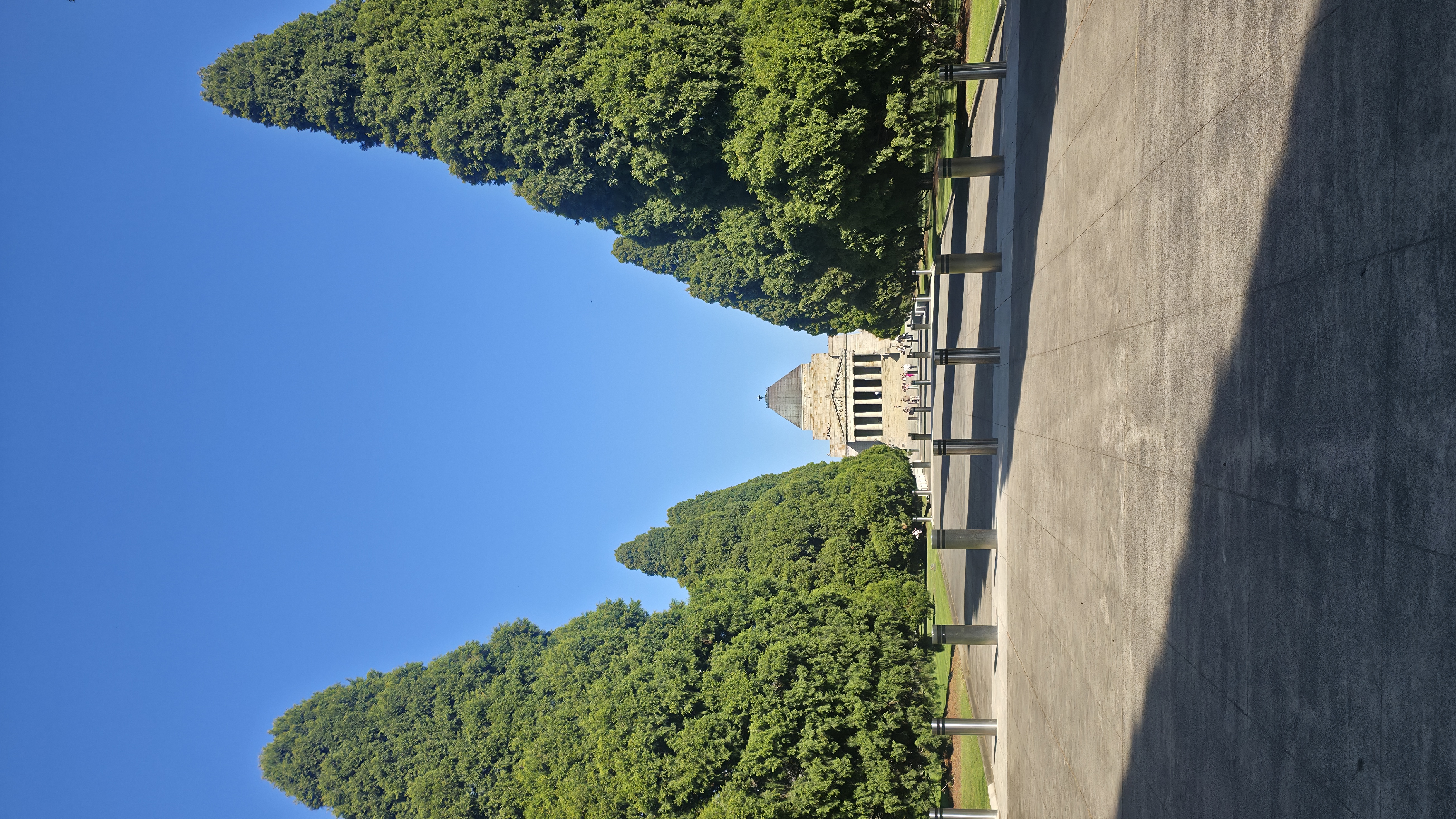 image-8