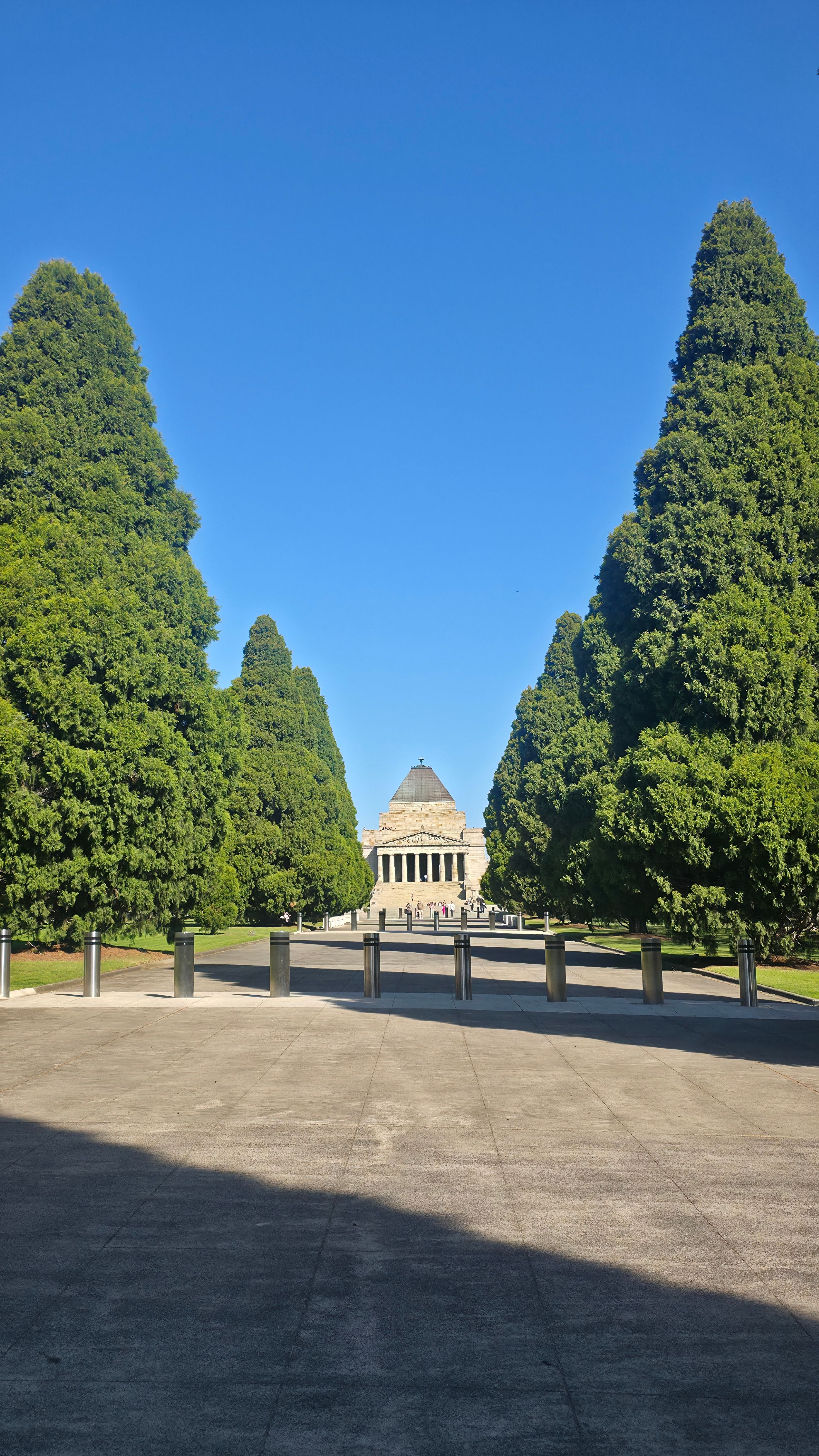 image-8