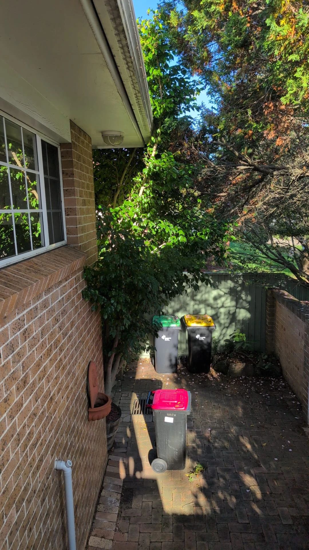 image-12