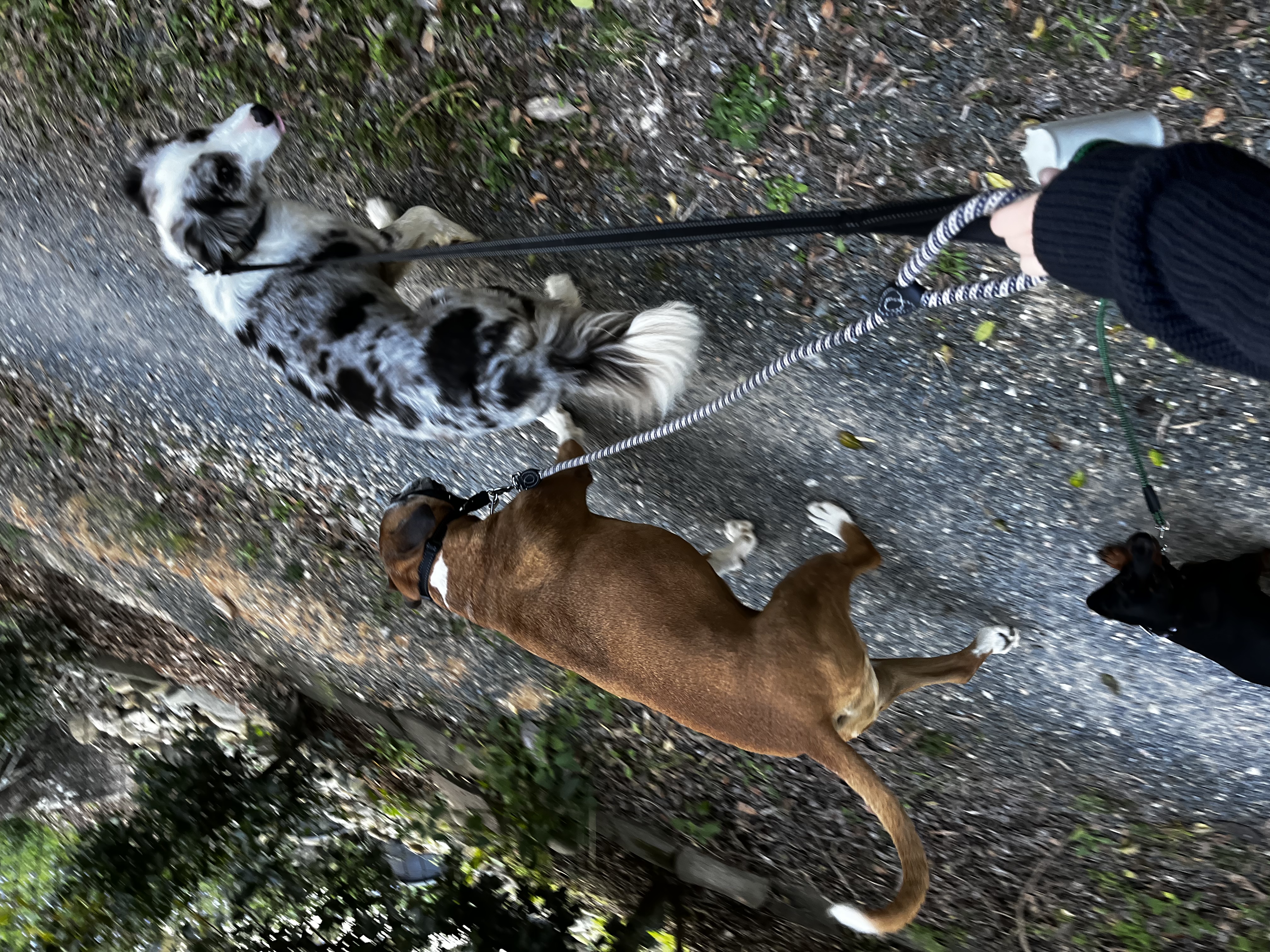 image-8