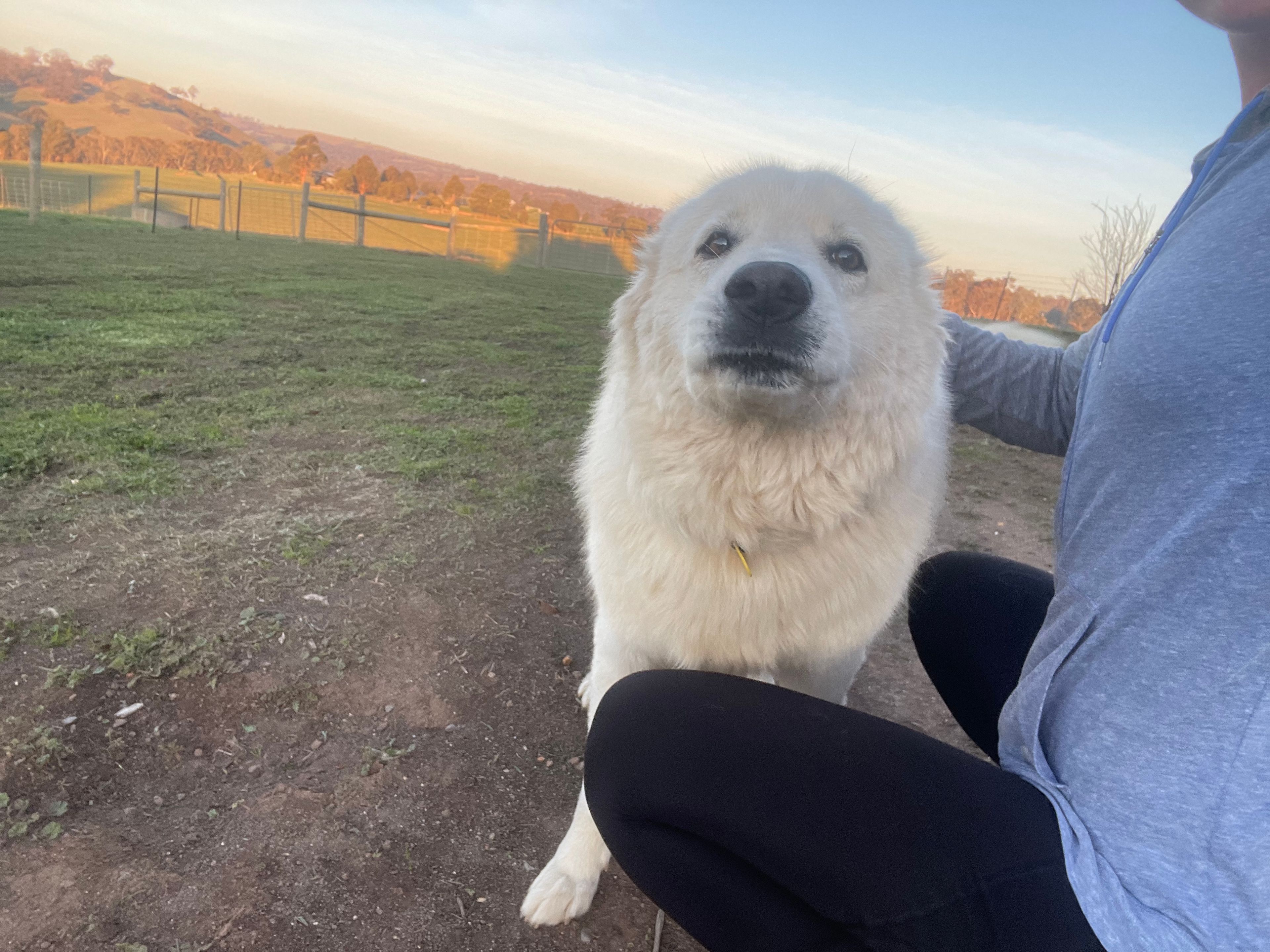image-0