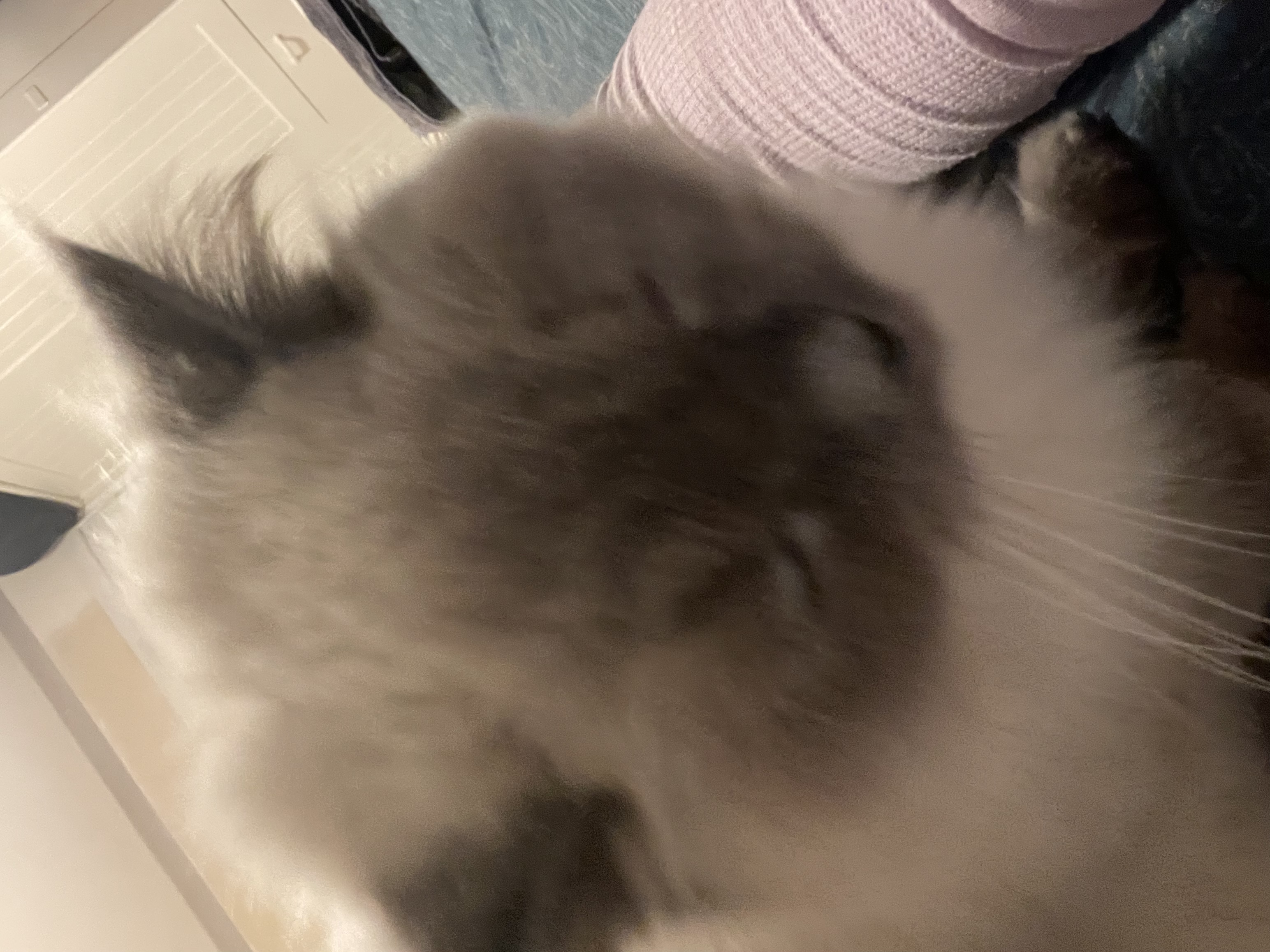 image-8