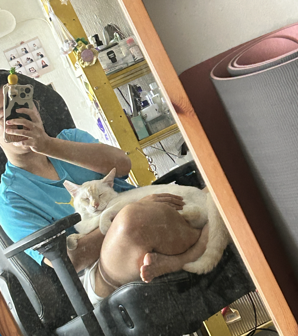 image-8