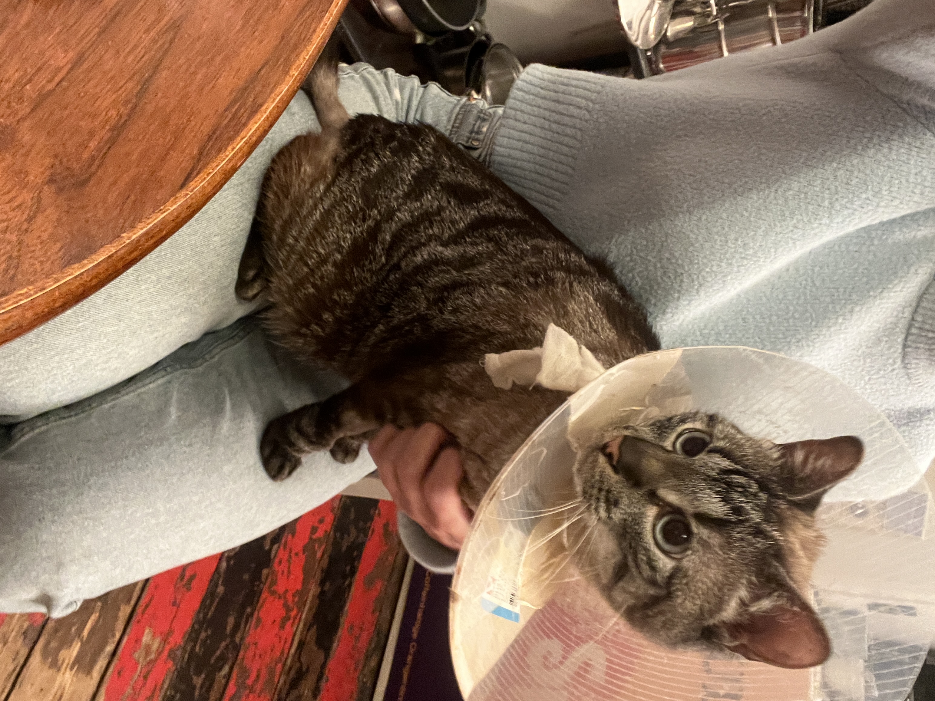 image-7