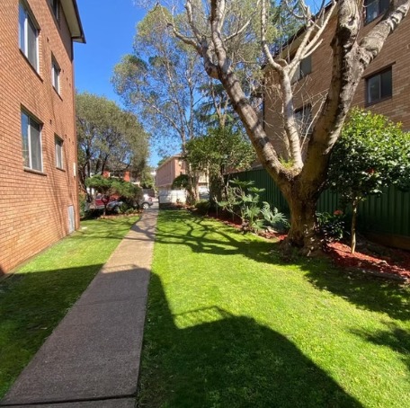 image-12