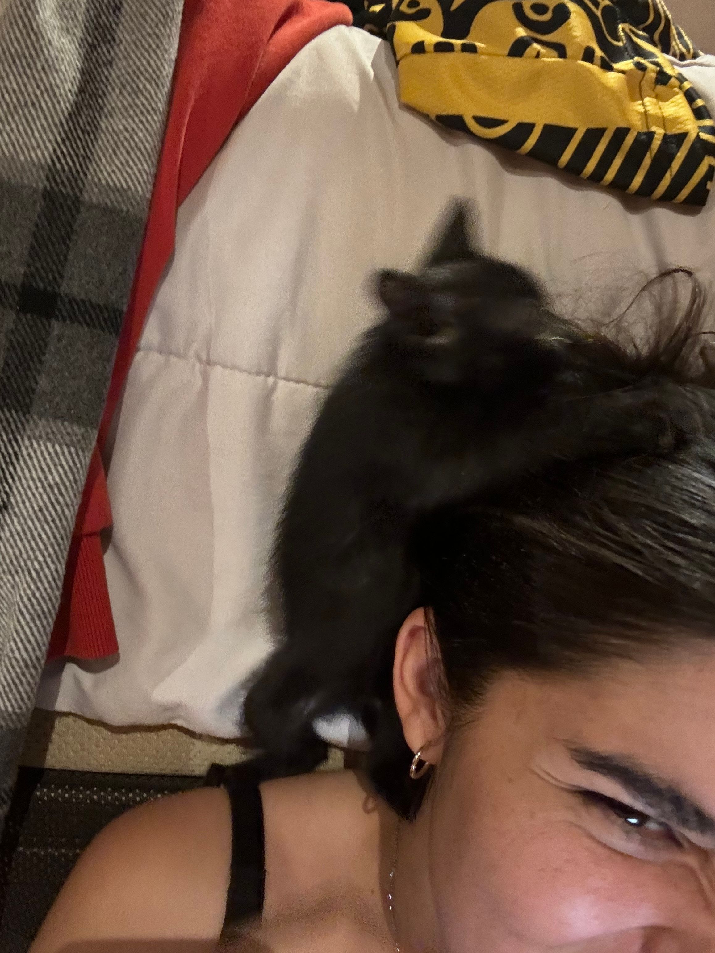 image-3