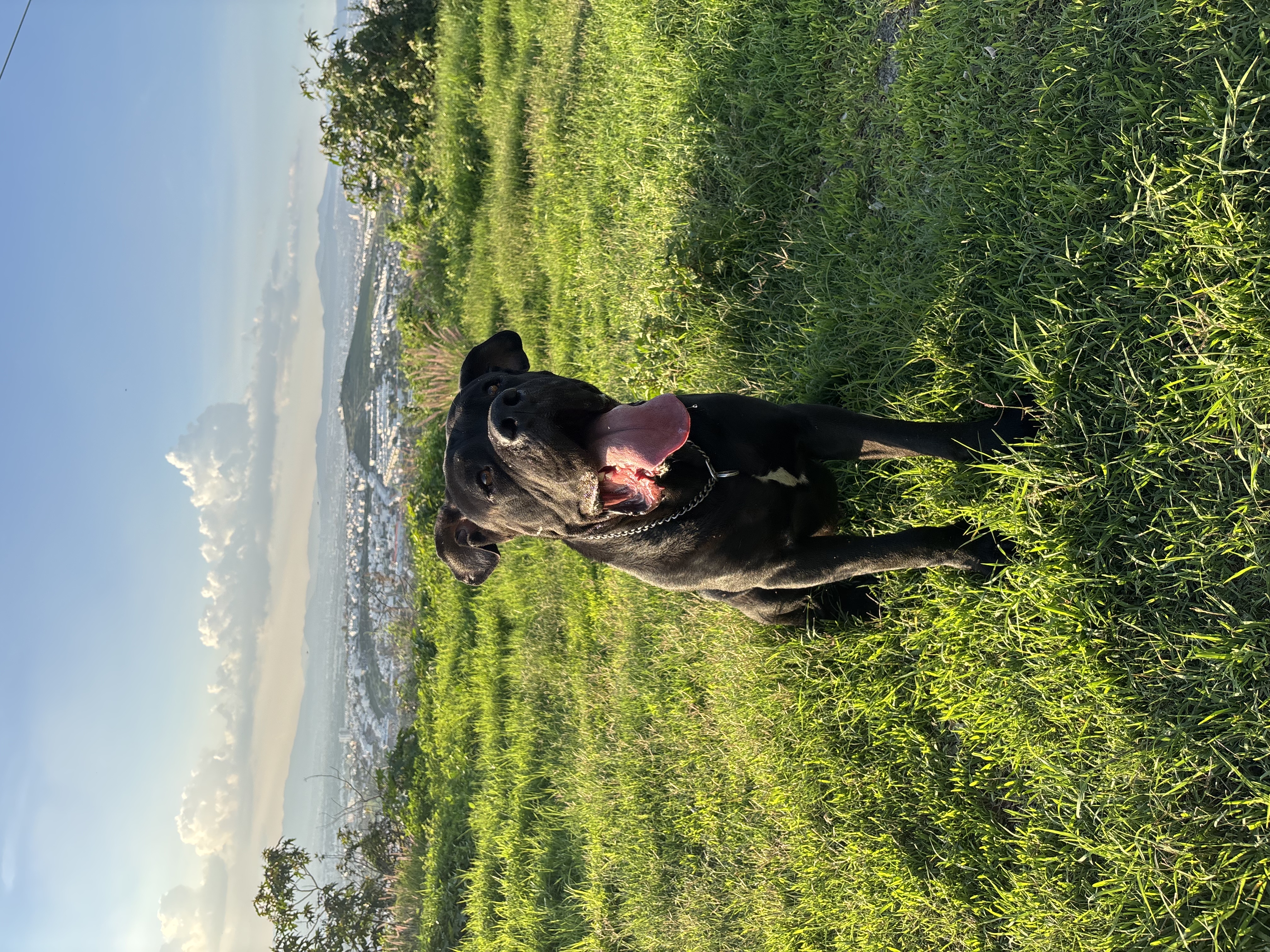 image-9