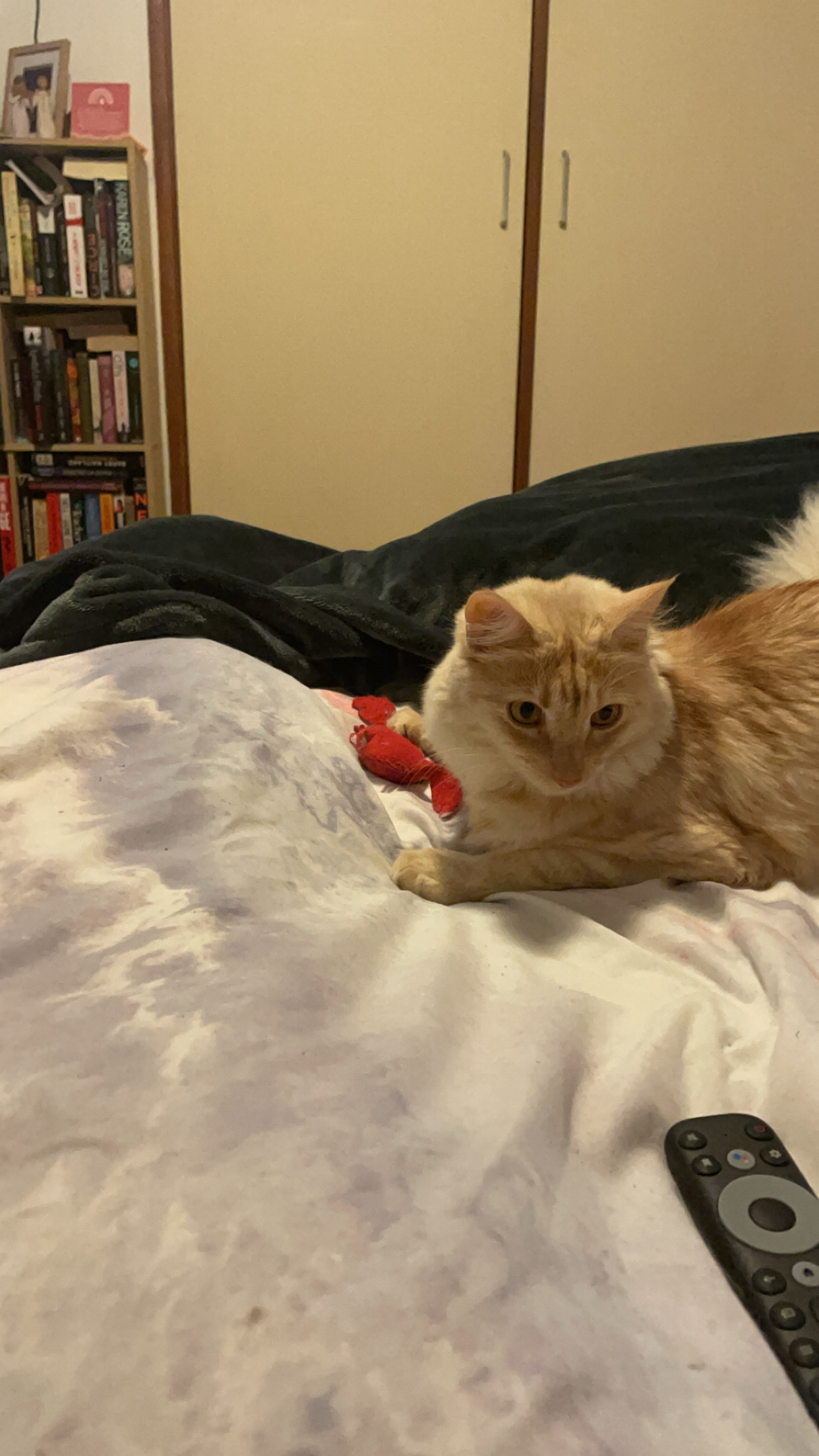 image-7