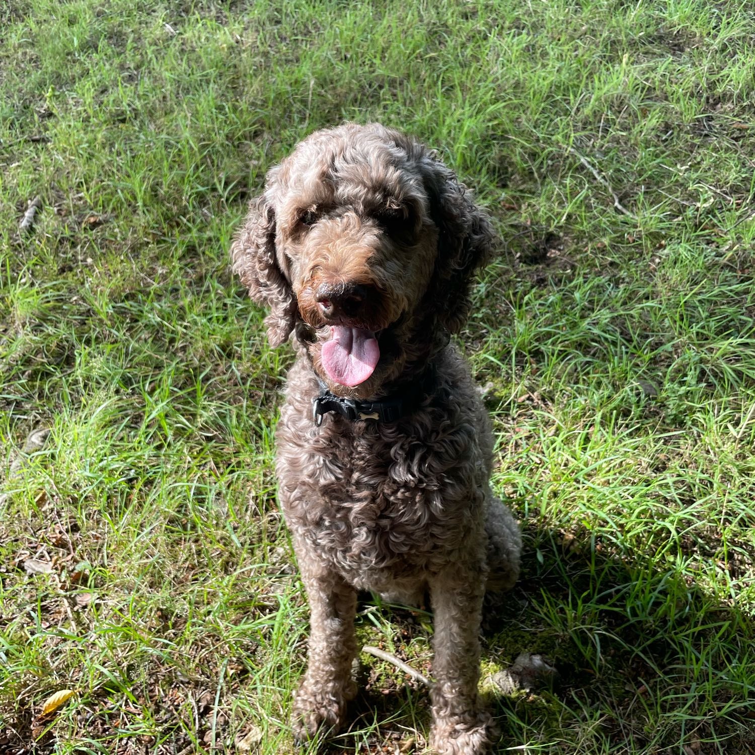 Molly